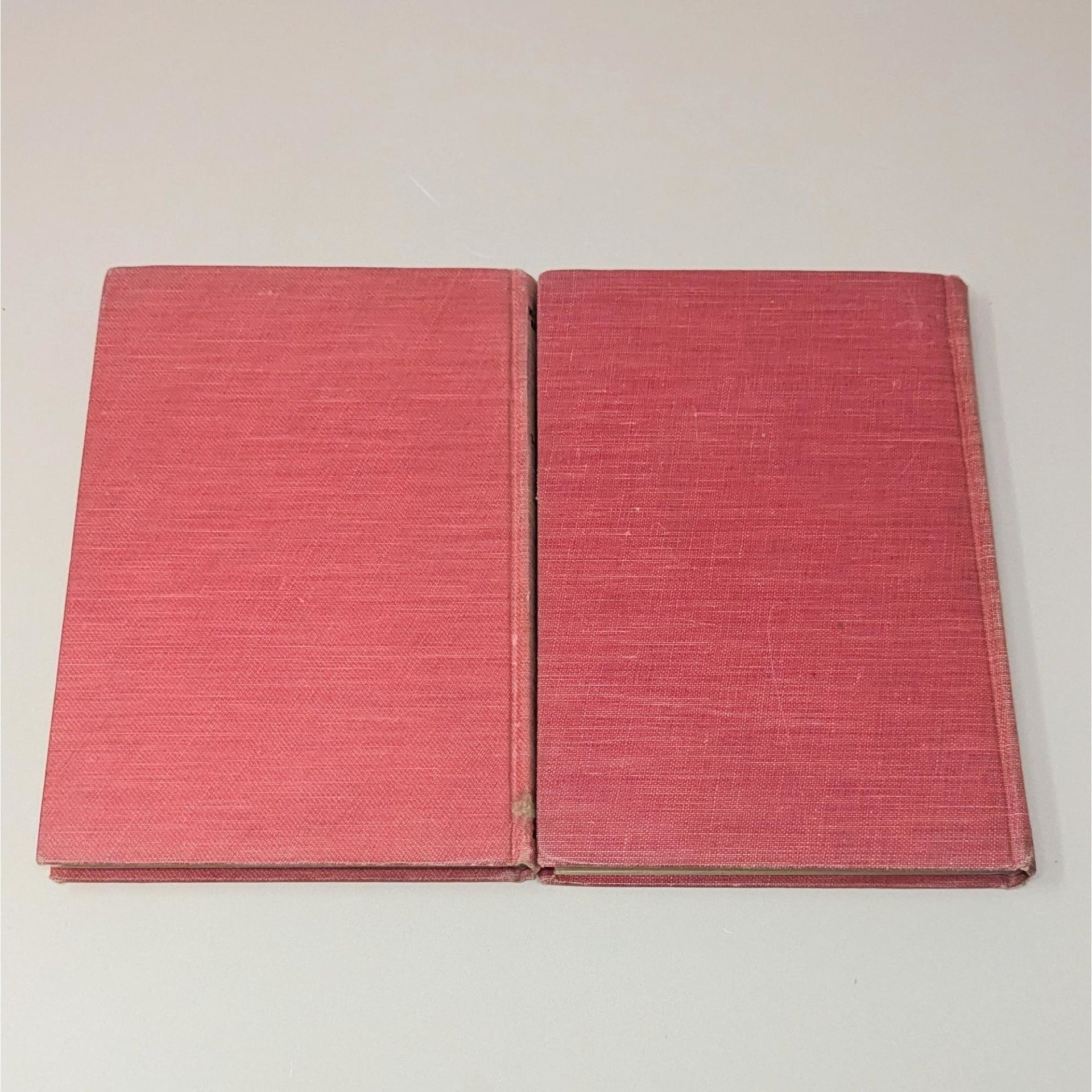 1918 The Little Washingtons Set by Lillian Elizabeth Roy