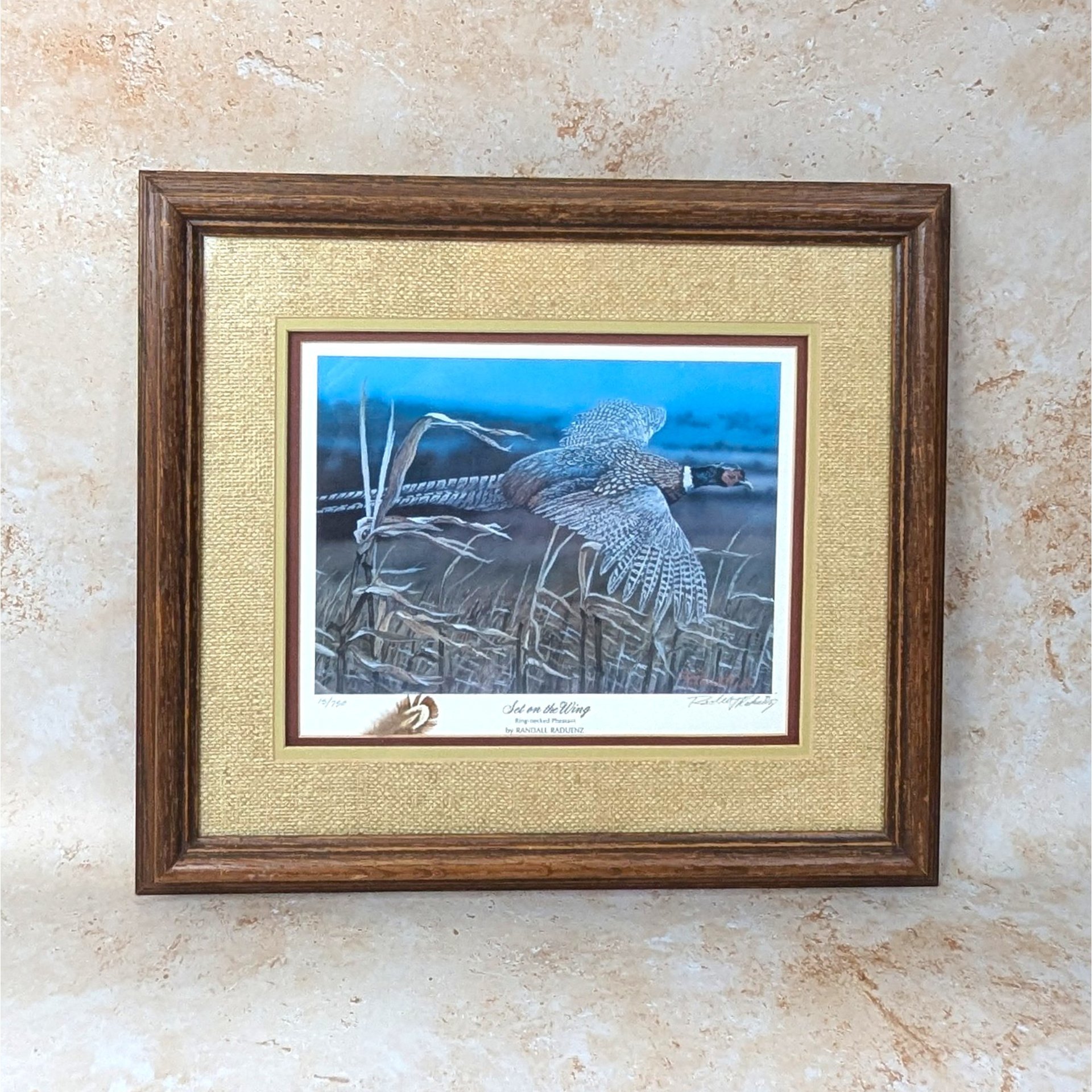 A vintage Randall Raduenz signed and numbered pheasant print titled Set on the Wing on a tan textured background. The framed artwork shows a ring-necked pheasant flying over corn stalks under a deep blue sky, framed with a gold burlap mat.