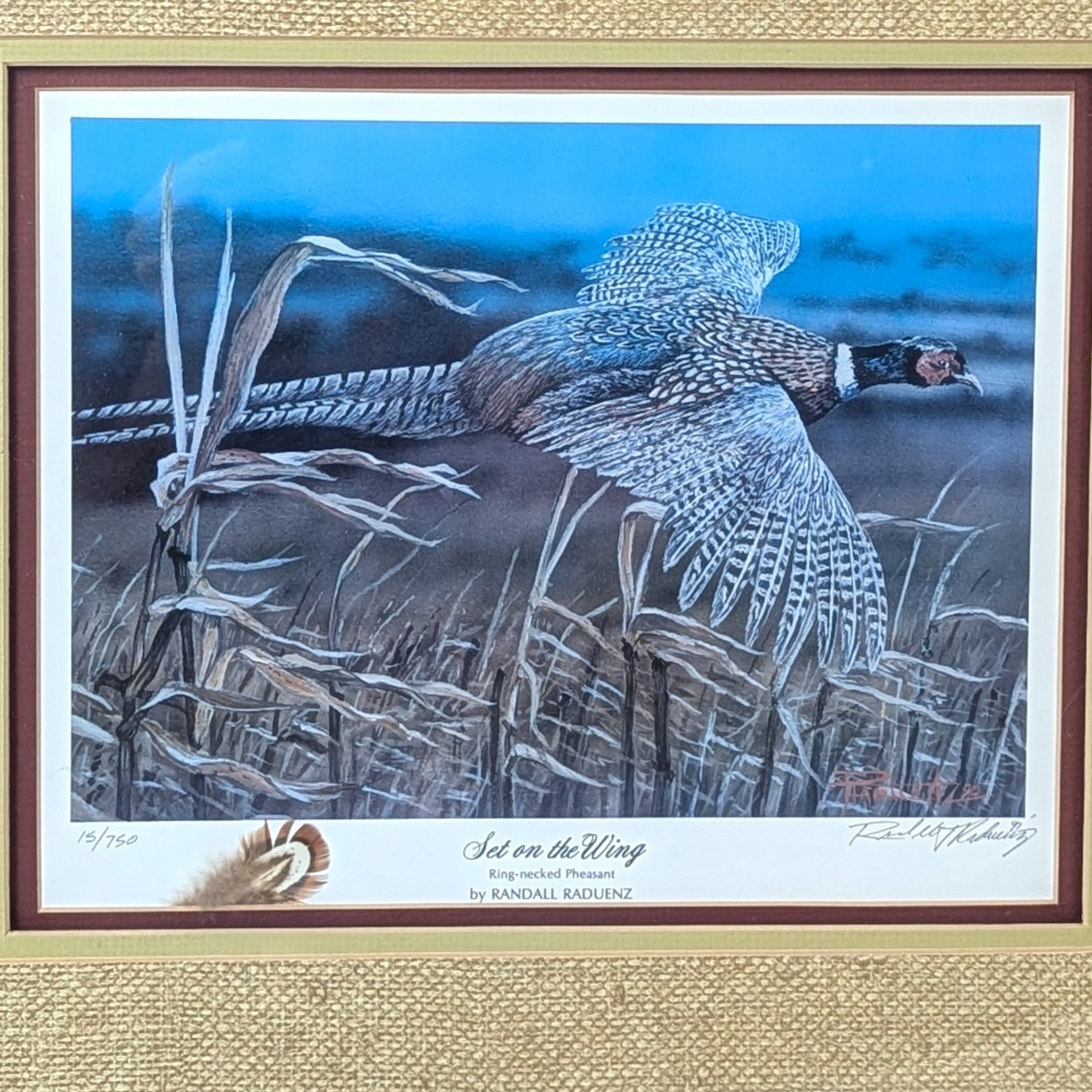 Vintage Randall Raduenz Set on the Wing Signed Numbered Pheasant Print