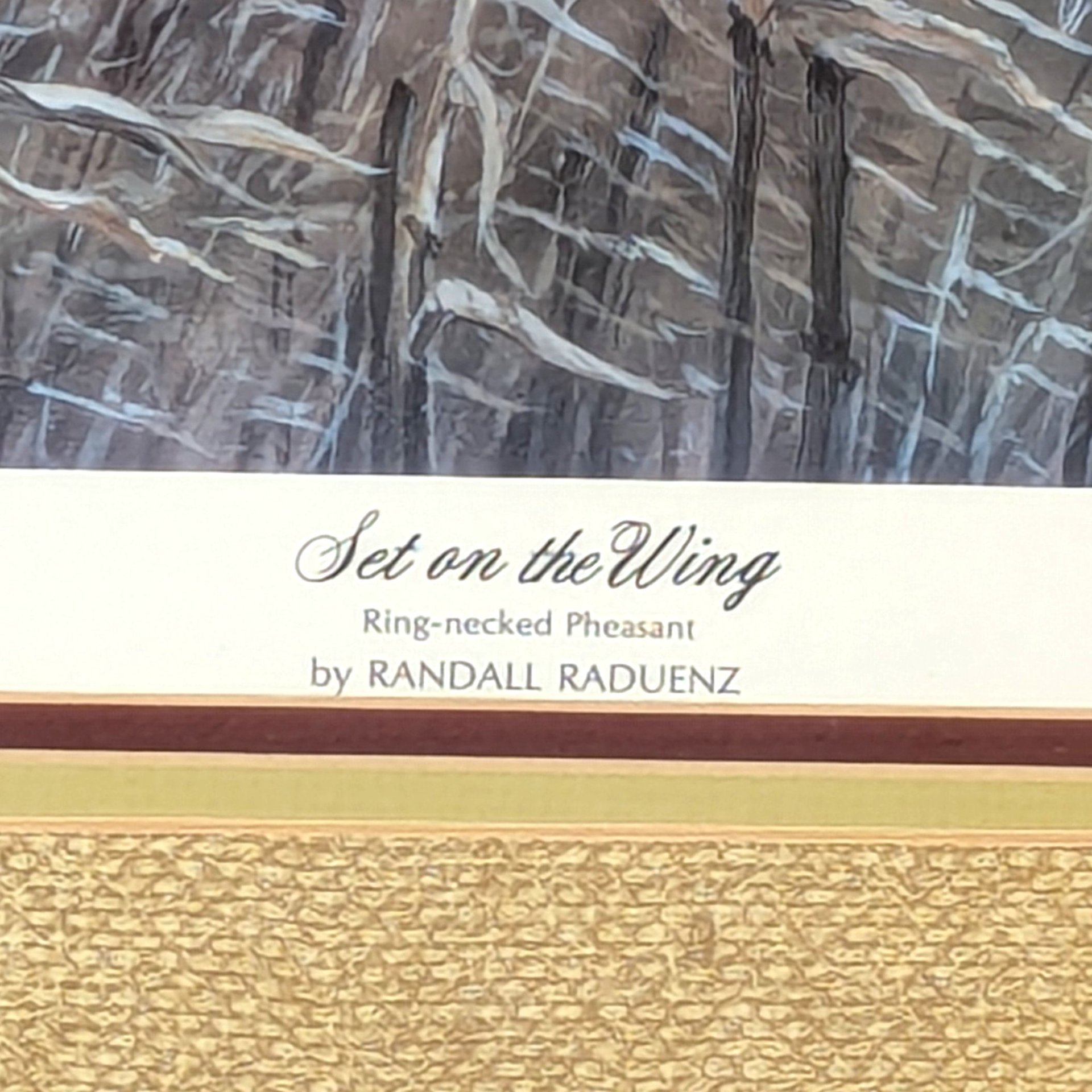 Vintage Randall Raduenz Set on the Wing Signed Numbered Pheasant Print