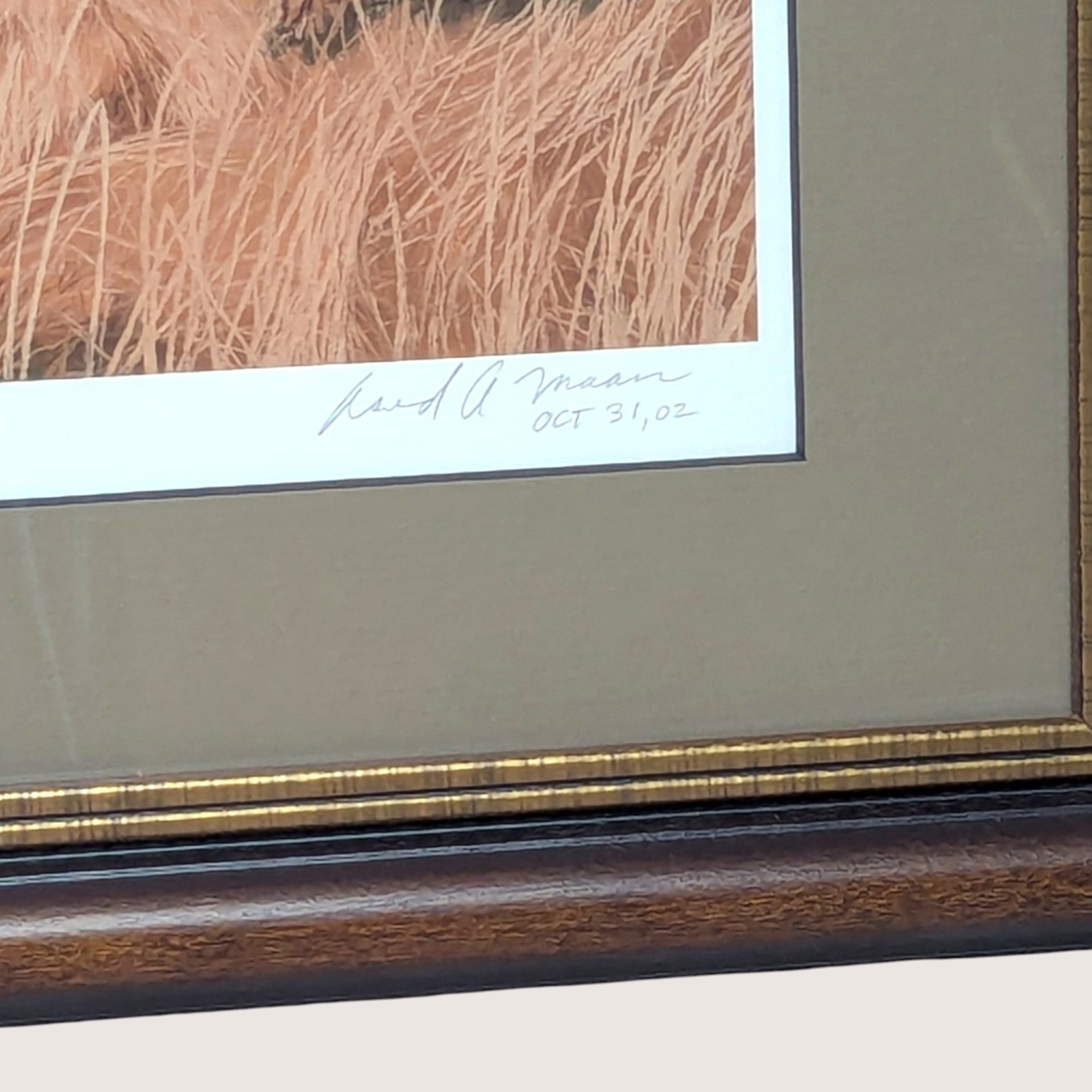 2002 David A Maass Tomahawk Trail Pheasants Framed Wildlife Print