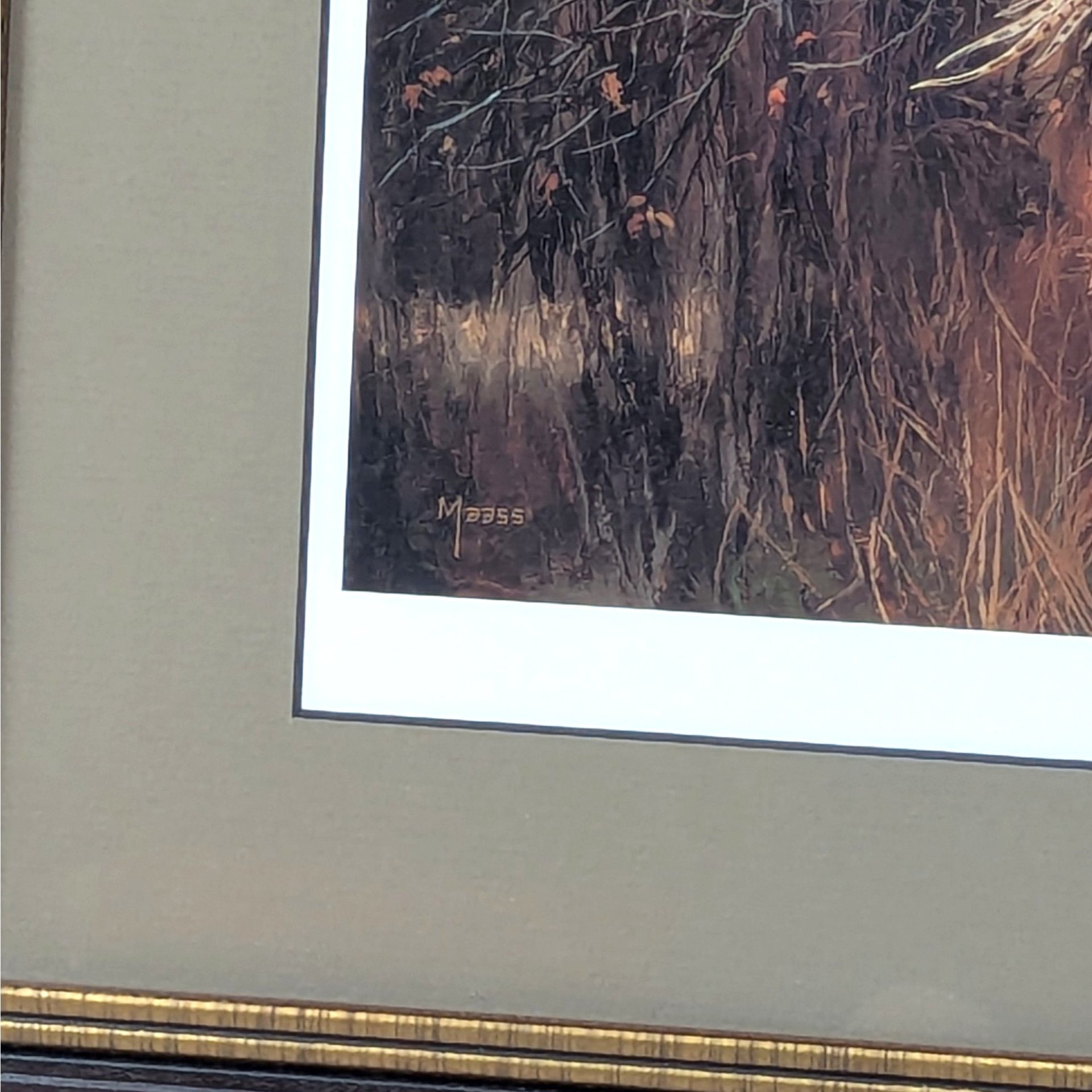 2002 David A Maass Tomahawk Trail Pheasants Framed Wildlife Print