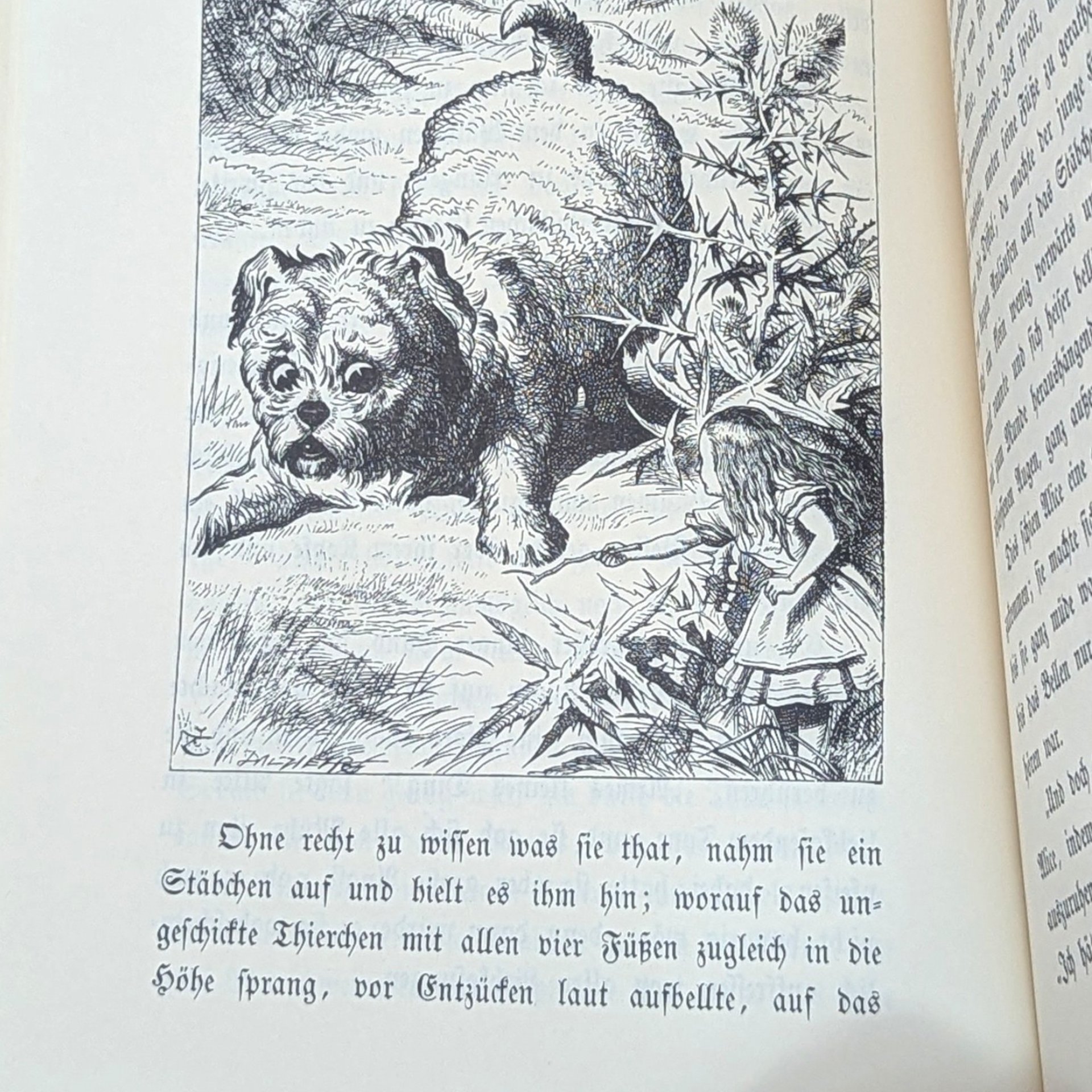 1974 Alices Abenteuer im Wunderland German Edition Lewis Carroll Book
