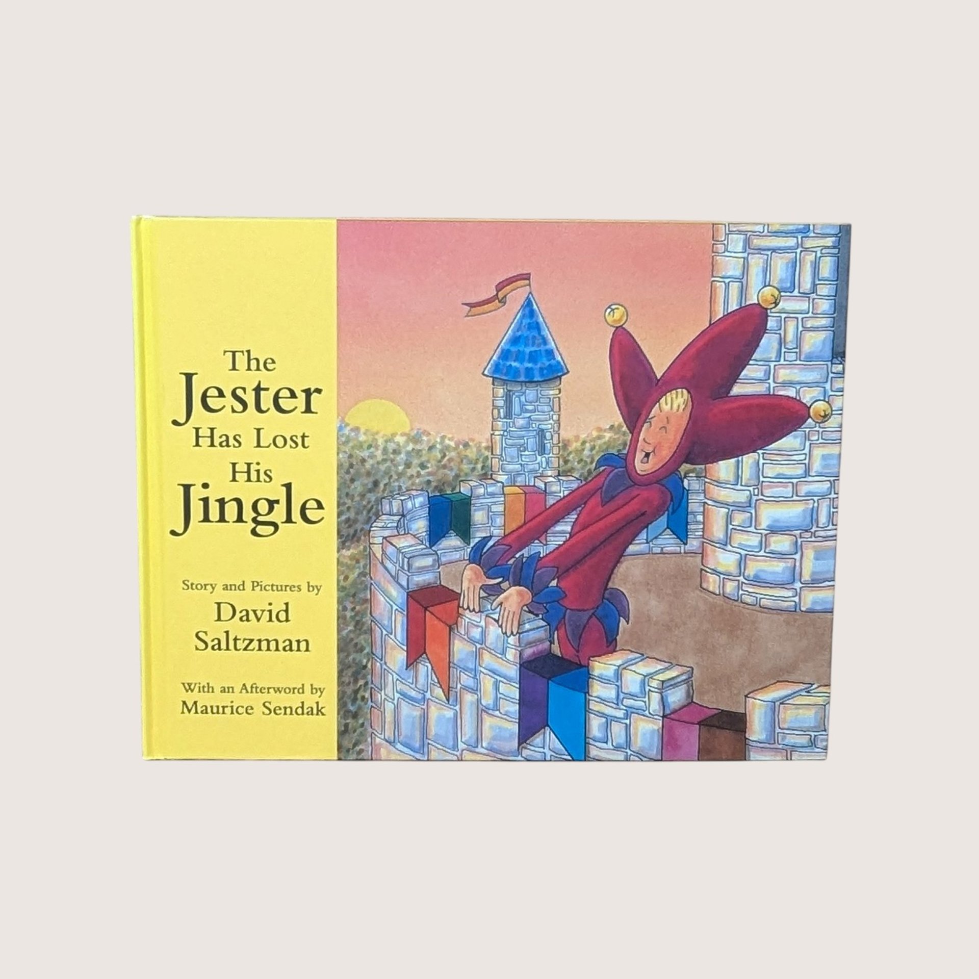 An illustrated kids book cover featuring a cartoon jester on a castle wall under a yellow and pink sky