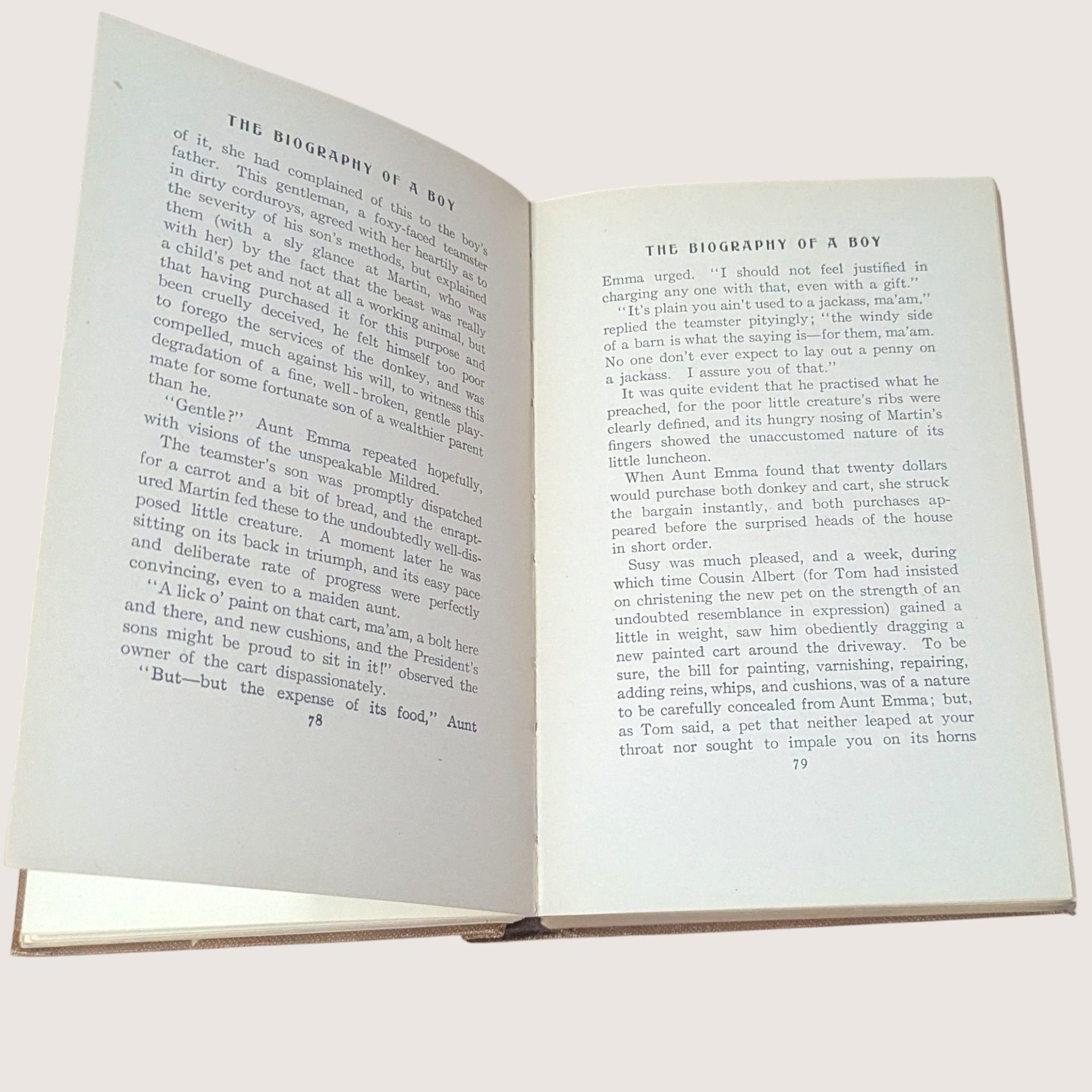 1910 The Biography of a Boy Josephine Daskam Bacon Rose ONeill Hardcover Book