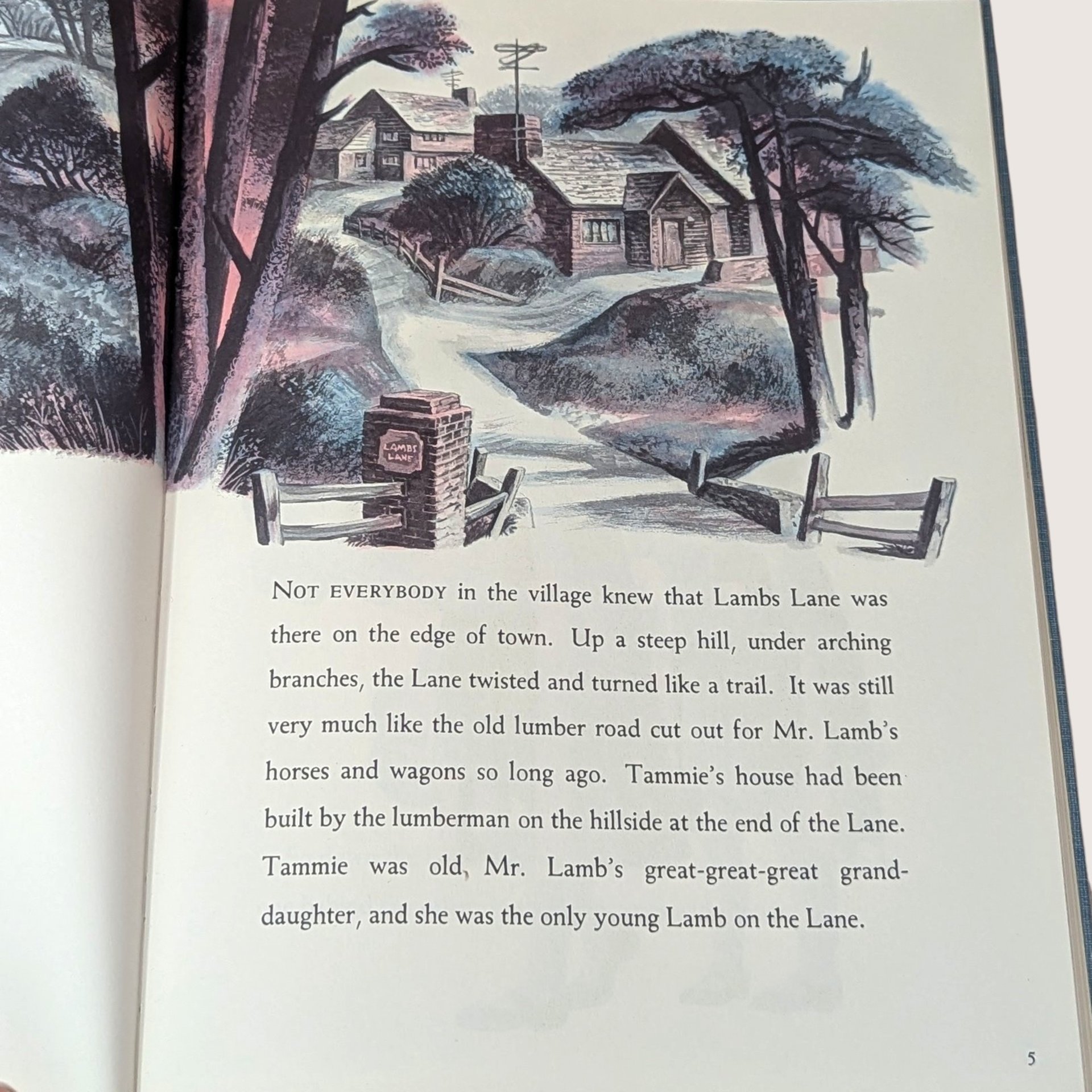 1967 The Wolf of Lambs Lane Mary McNeer Lynd Ward Hardcover Book