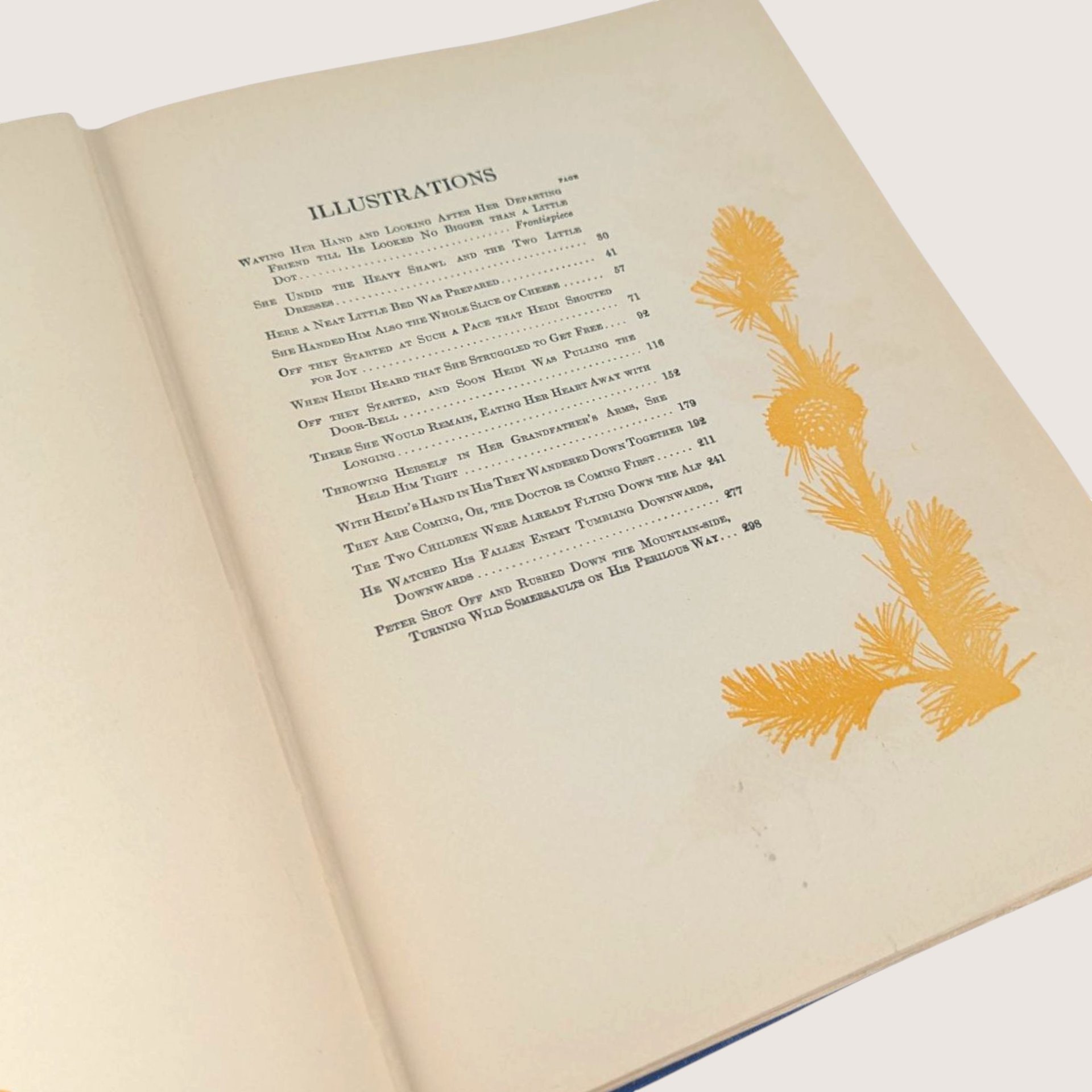 1919 Heidi Johanna Spyri Hardcover Book