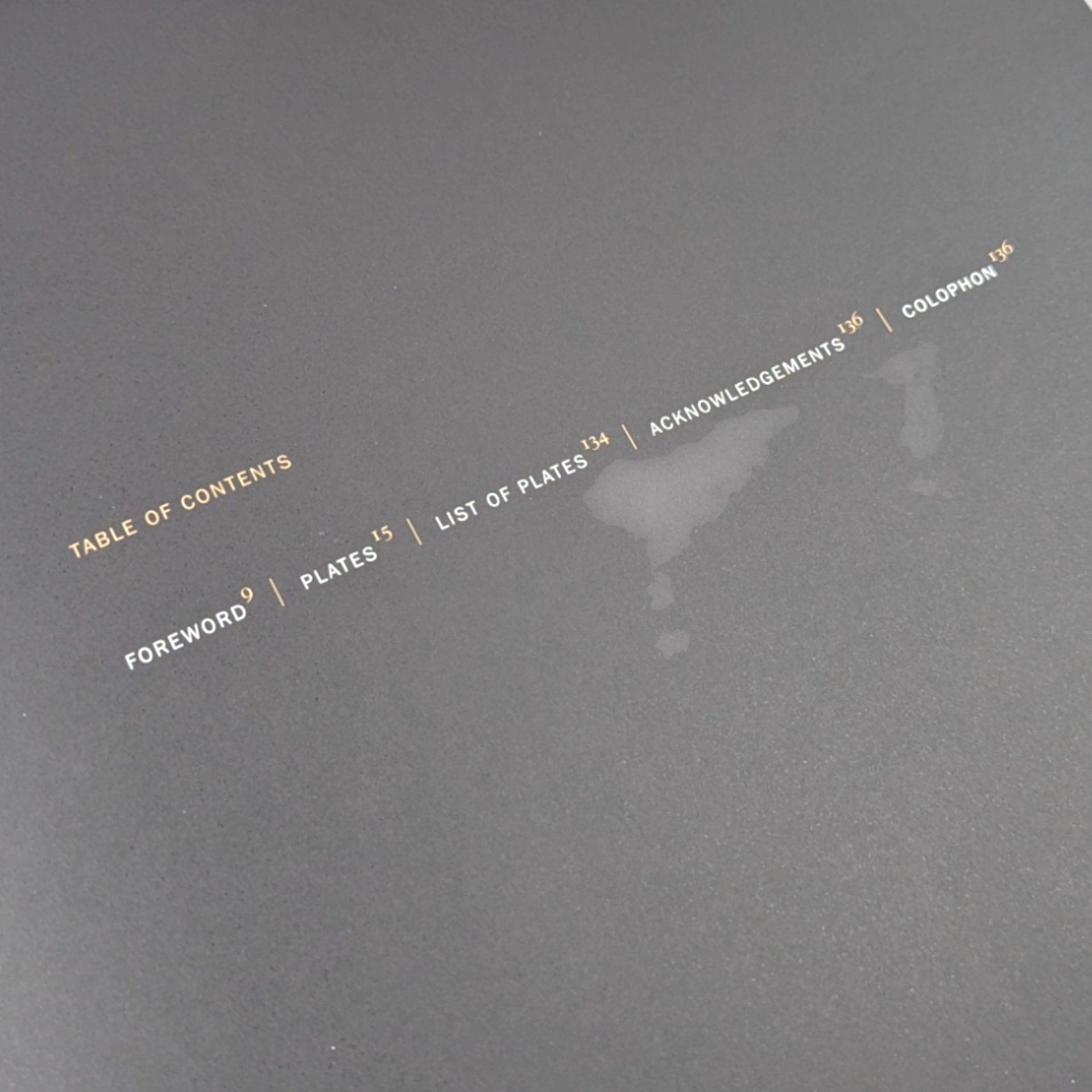 1999 Chicago Churches A Photographic Essay Hardcover Elizabeth Johnson Book