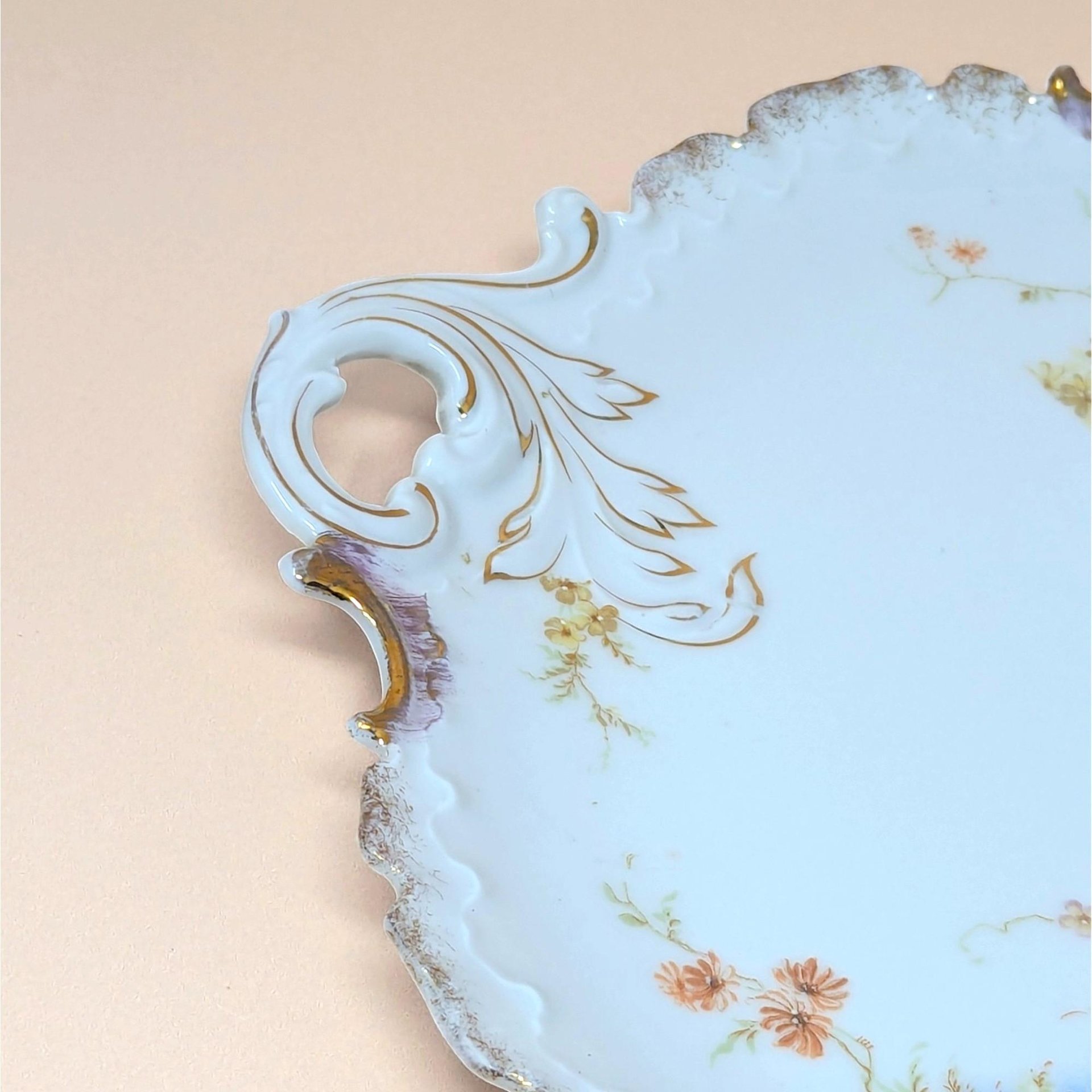1890s RC Rosenthal German Porcelain Handled Plate