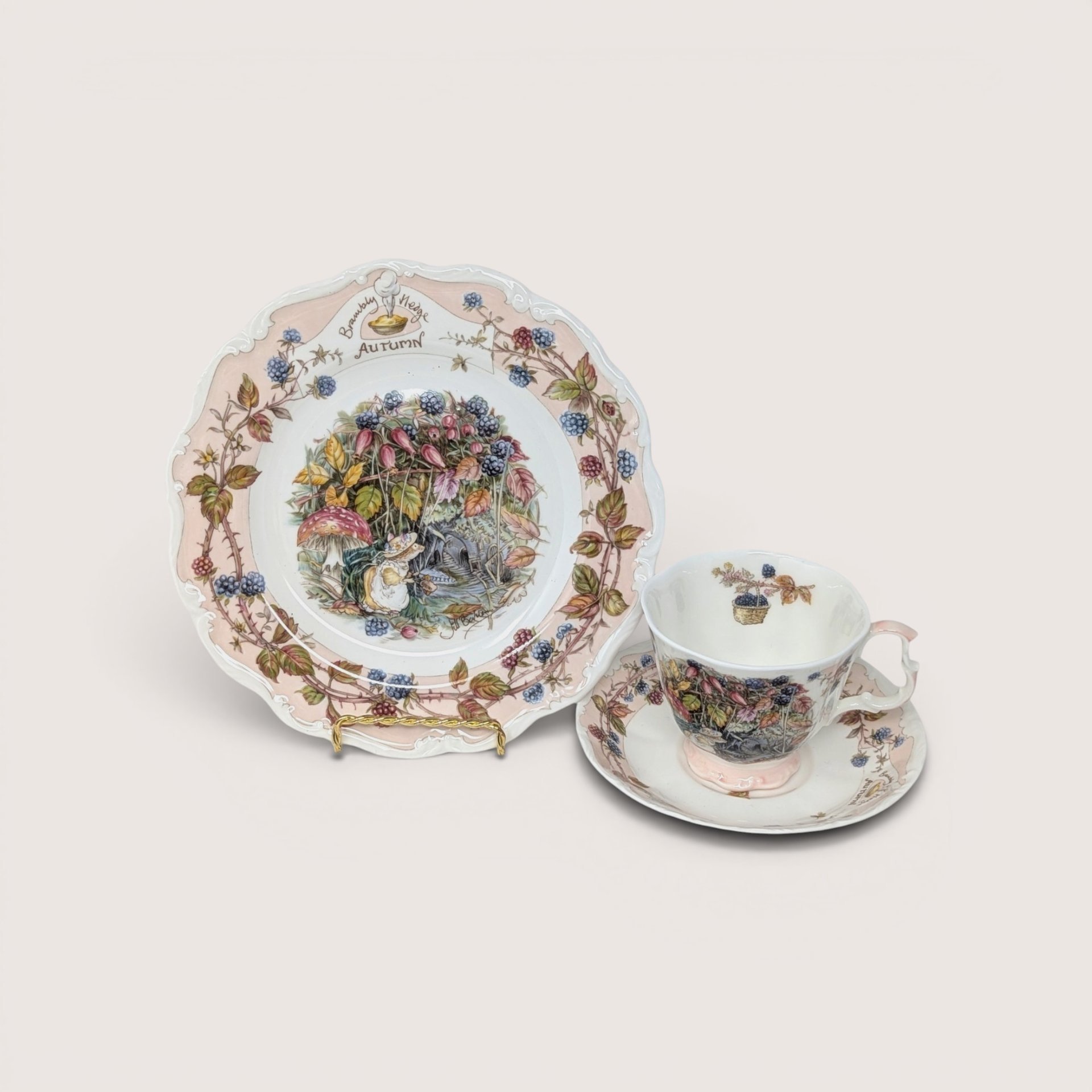 Royal Doulton Brambly Hedge Autumn plate alongside a matching tea cup and saucer on a plain background