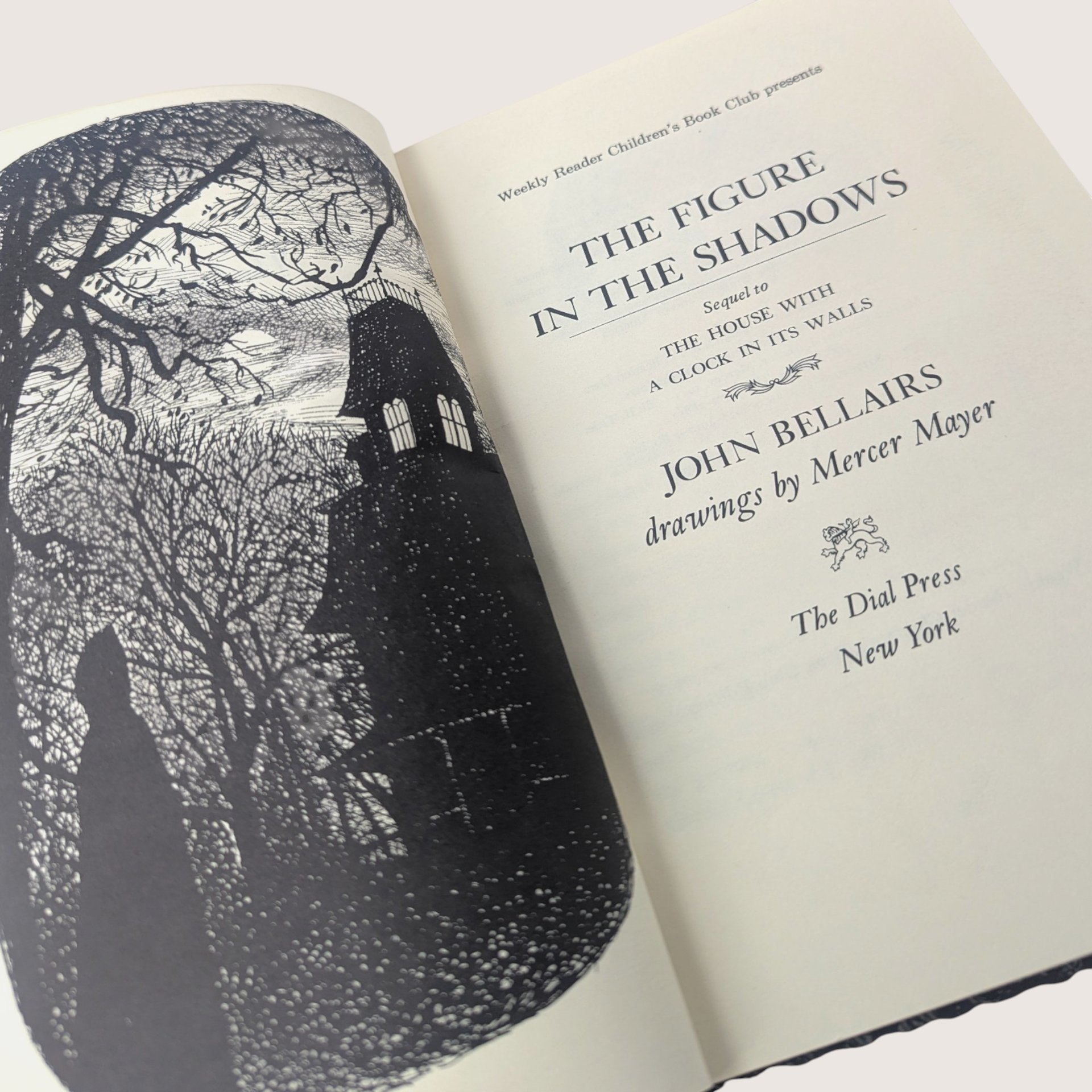 1975 Weekly Reader The Figure in the Shadows John Bellairs Hardcover Book