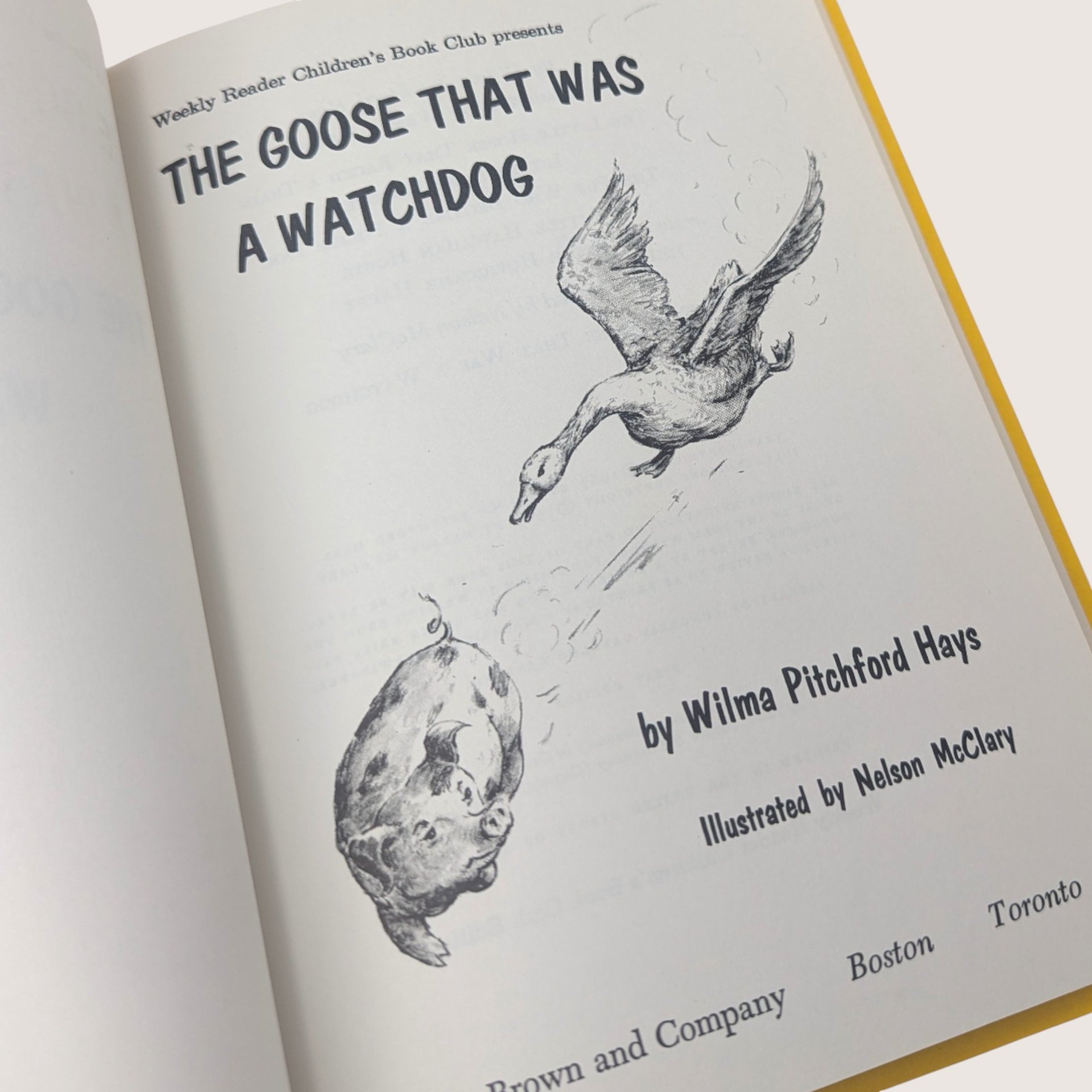1967 The Goose That Was a Watchdog Wilma Pitchford Hays Hardcover Book