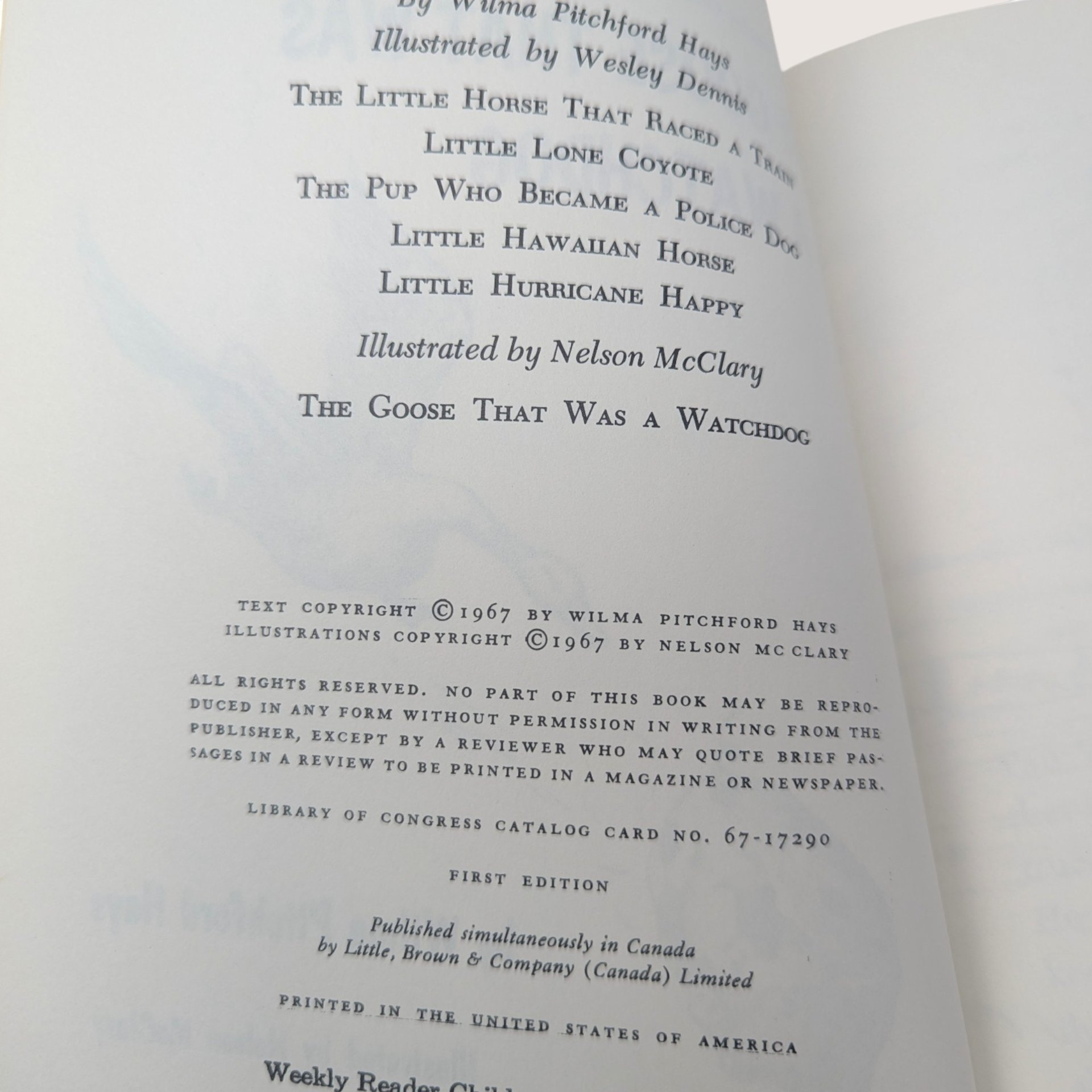 1967 The Goose That Was a Watchdog Wilma Pitchford Hays Hardcover Book