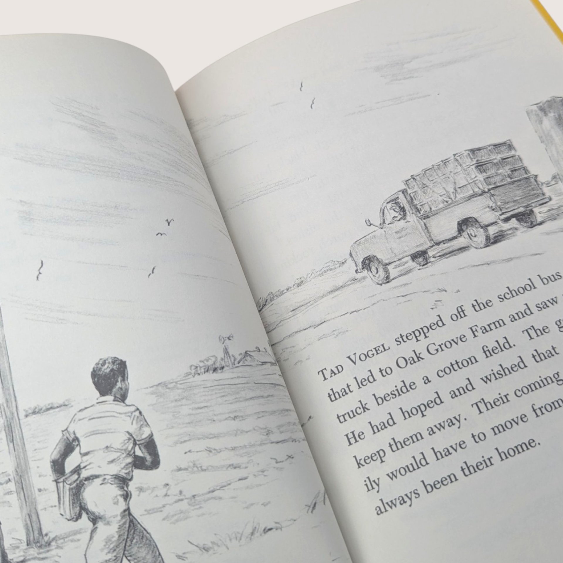 1967 The Goose That Was a Watchdog Wilma Pitchford Hays Hardcover Book