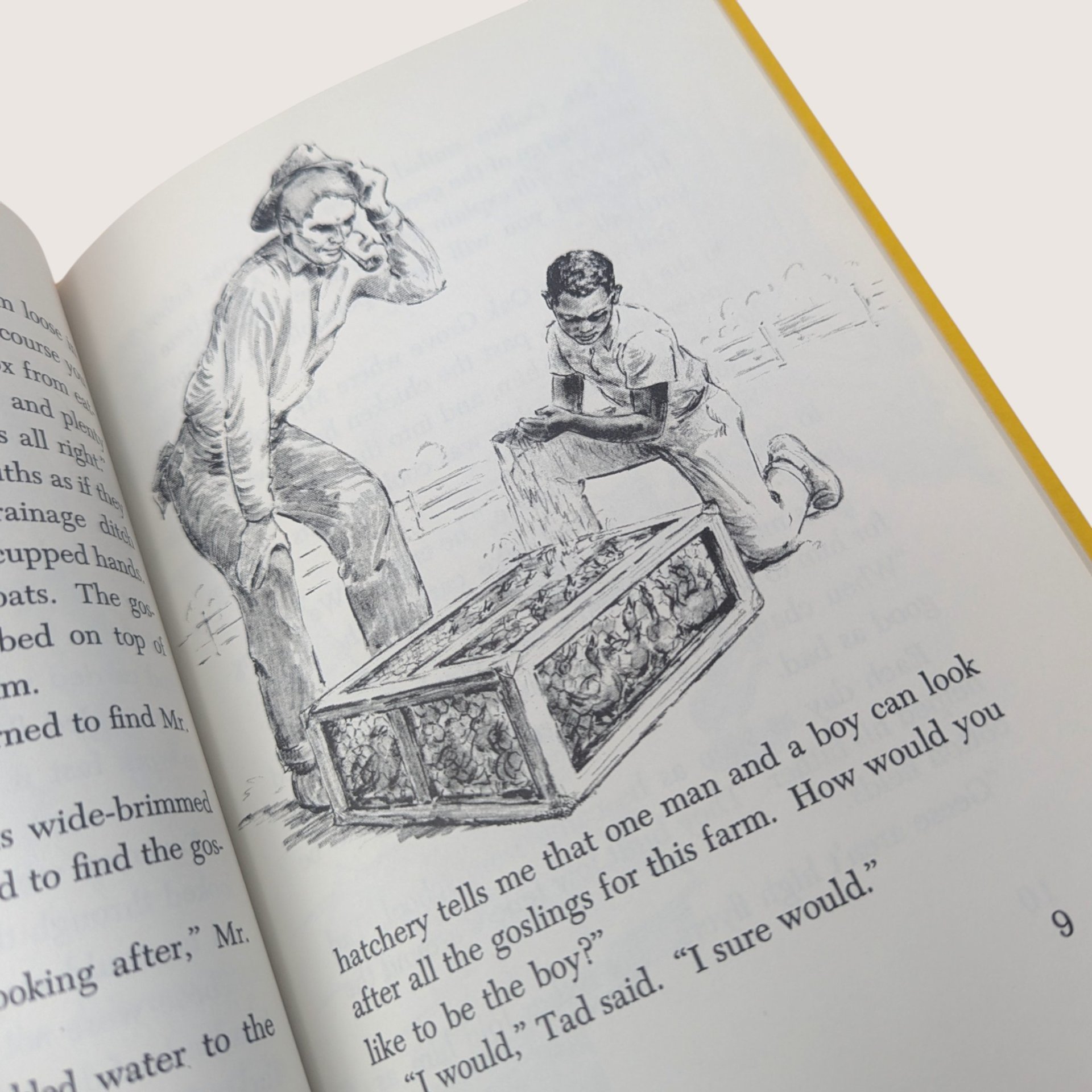 1967 The Goose That Was a Watchdog Wilma Pitchford Hays Hardcover Book