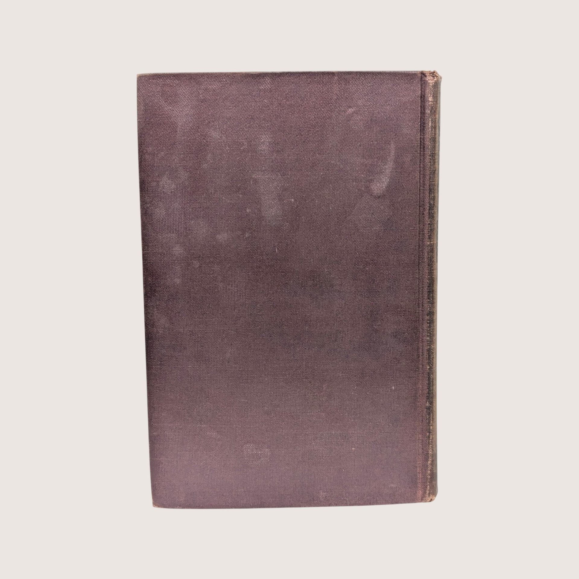 Antique 1900 Alphonse Daudet Numa Roumestan Hardcover Book