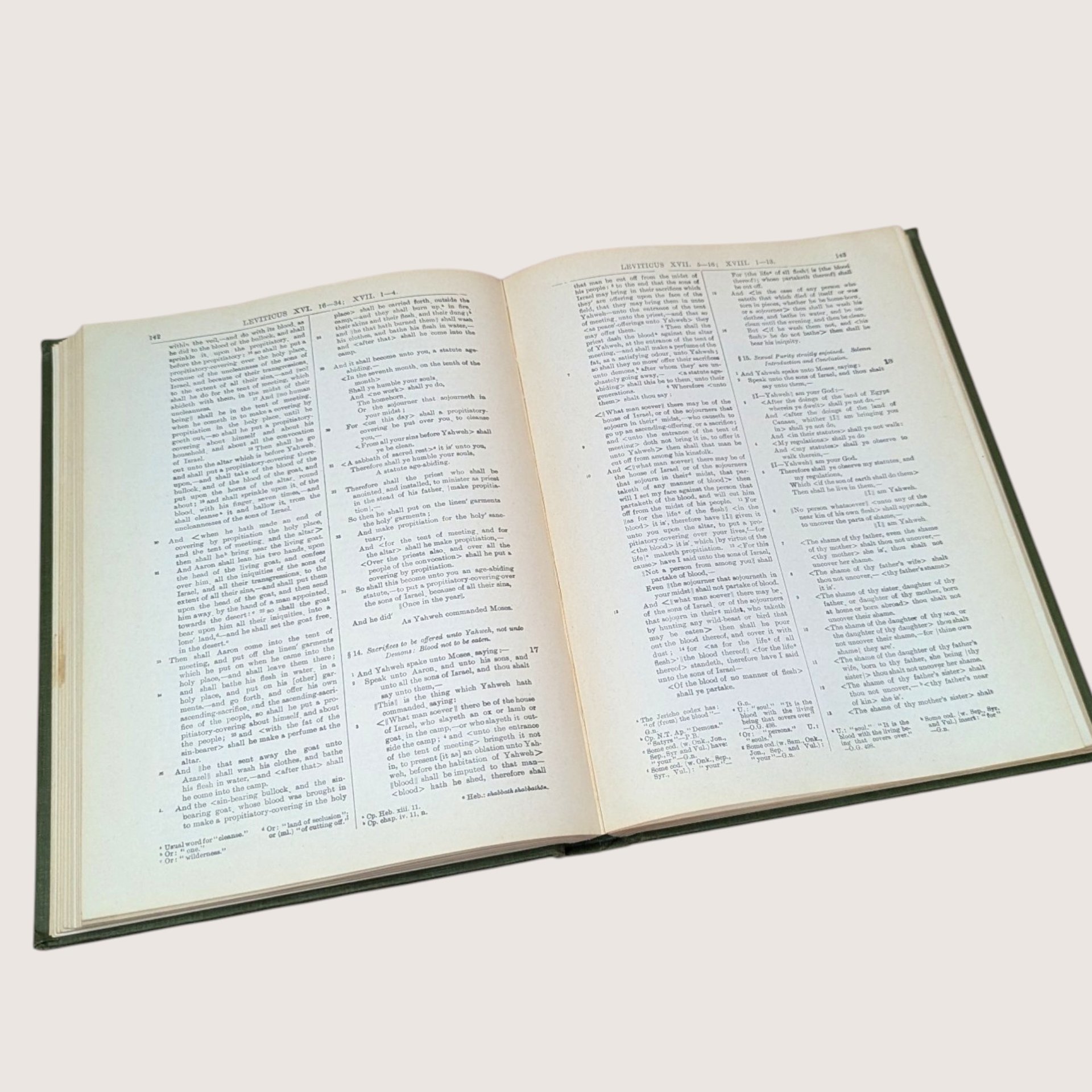 1900s Antique Emphasized Old Testament Vol 1 Rotherham Bible