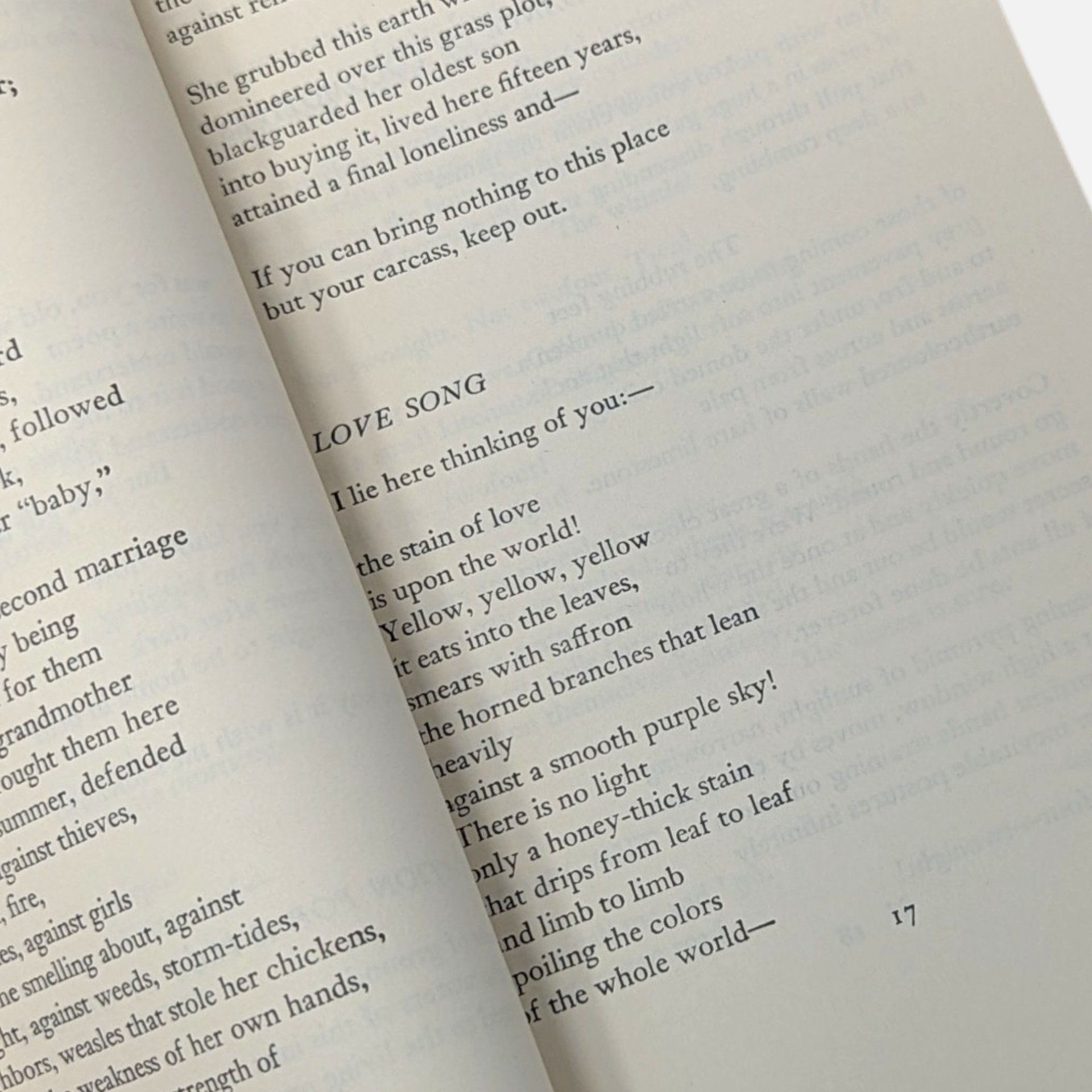 Vintage 1963 William Carlos Williams Selected Poems Paperback Book