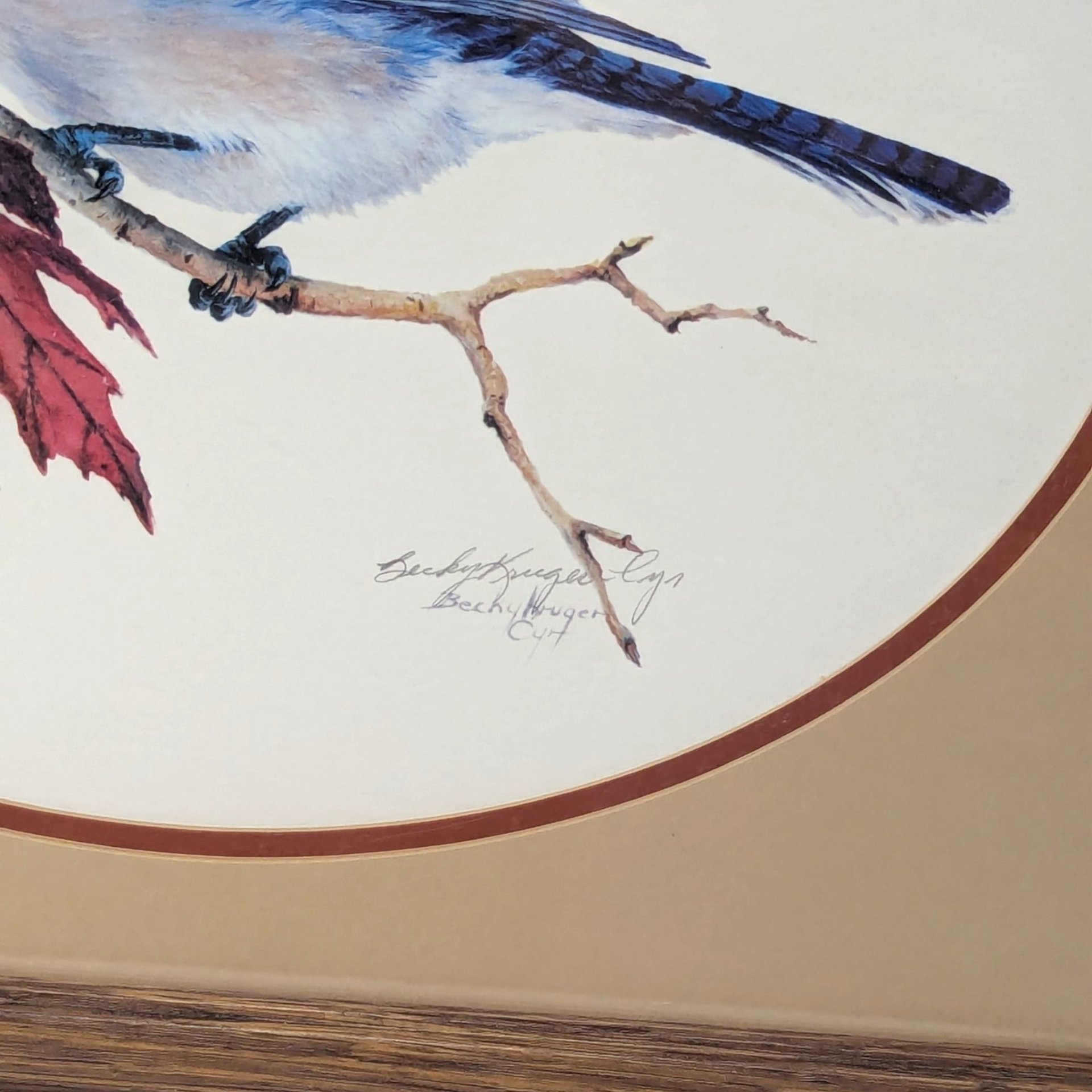 Vintage Blue Jay Wildlife Art Print Signed Becky Kruger Cyr