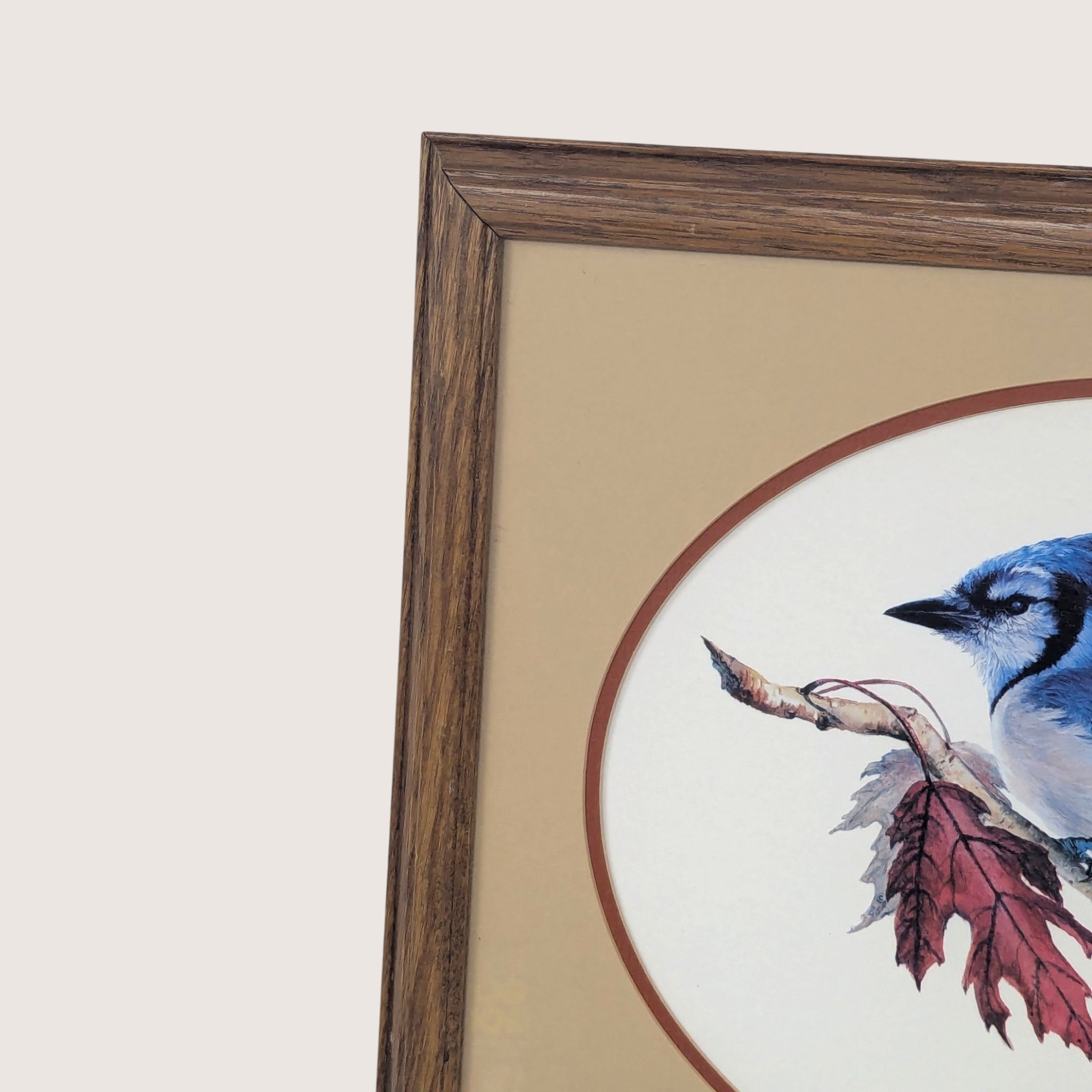 Vintage Blue Jay Wildlife Art Print Signed Becky Kruger Cyr
