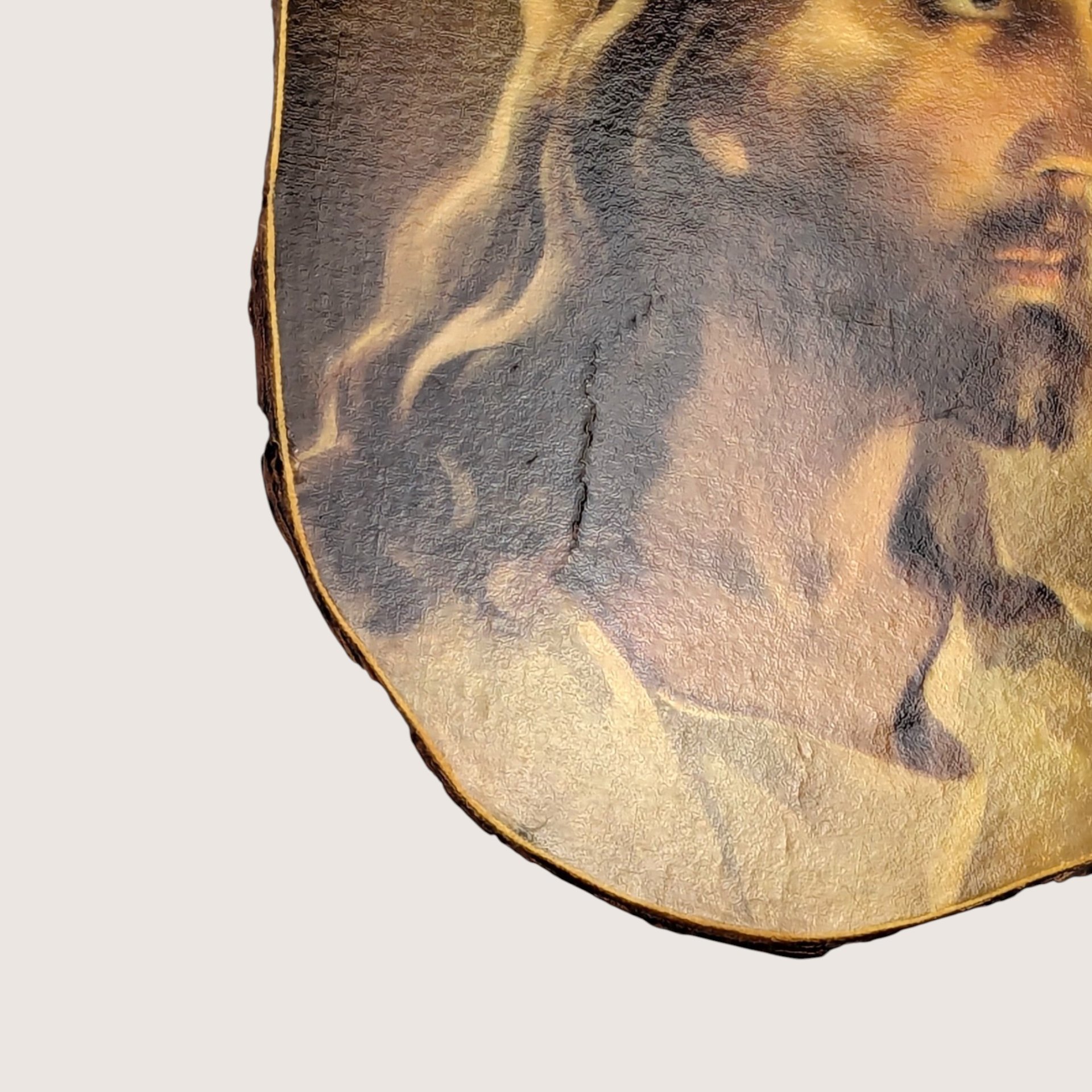 Vintage Salman Reproduction Head of Christ Wood Wall Plaque