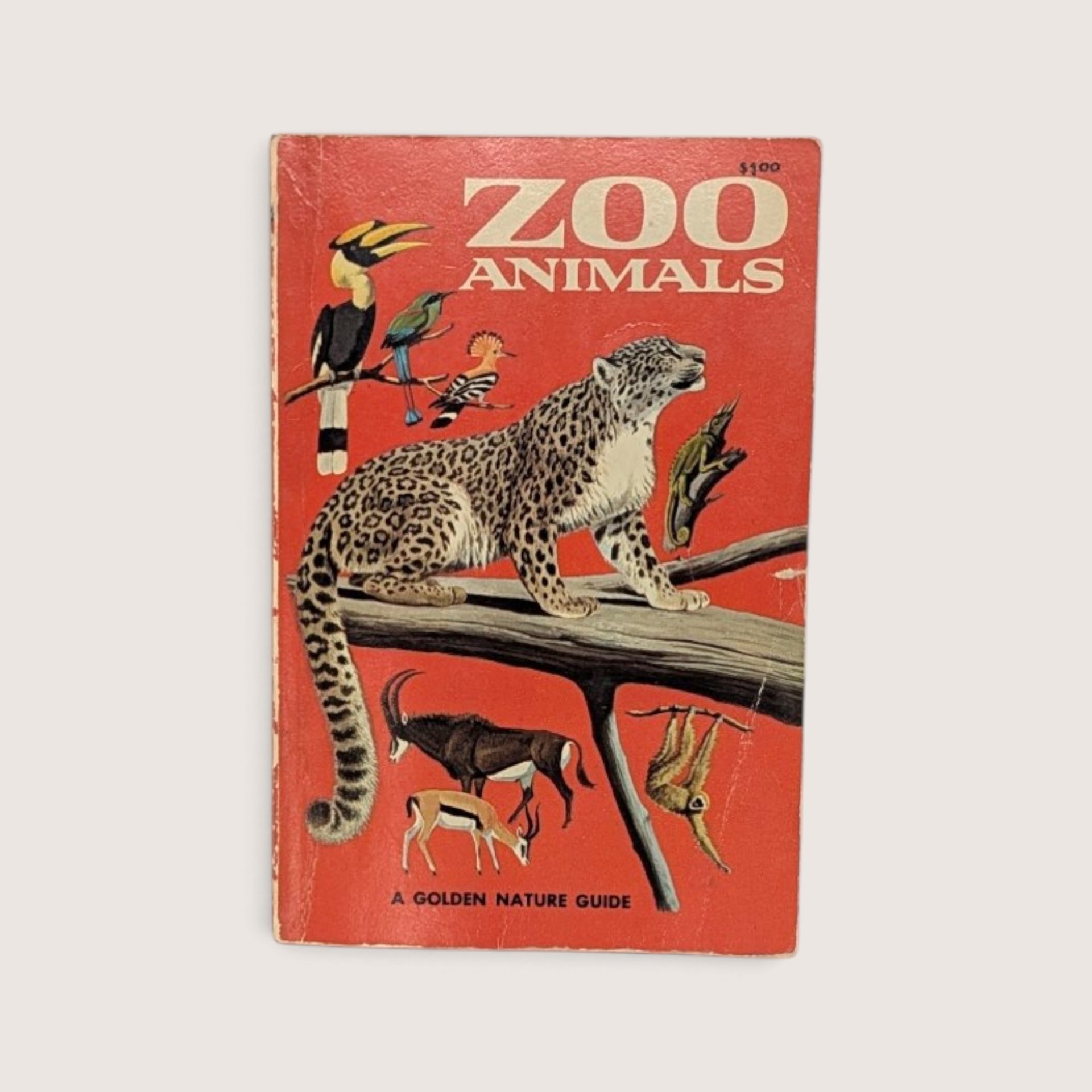 Vintage 1967 softcover Golden Nature Guide book titled Zoo Animals with illustrated leopard cover.