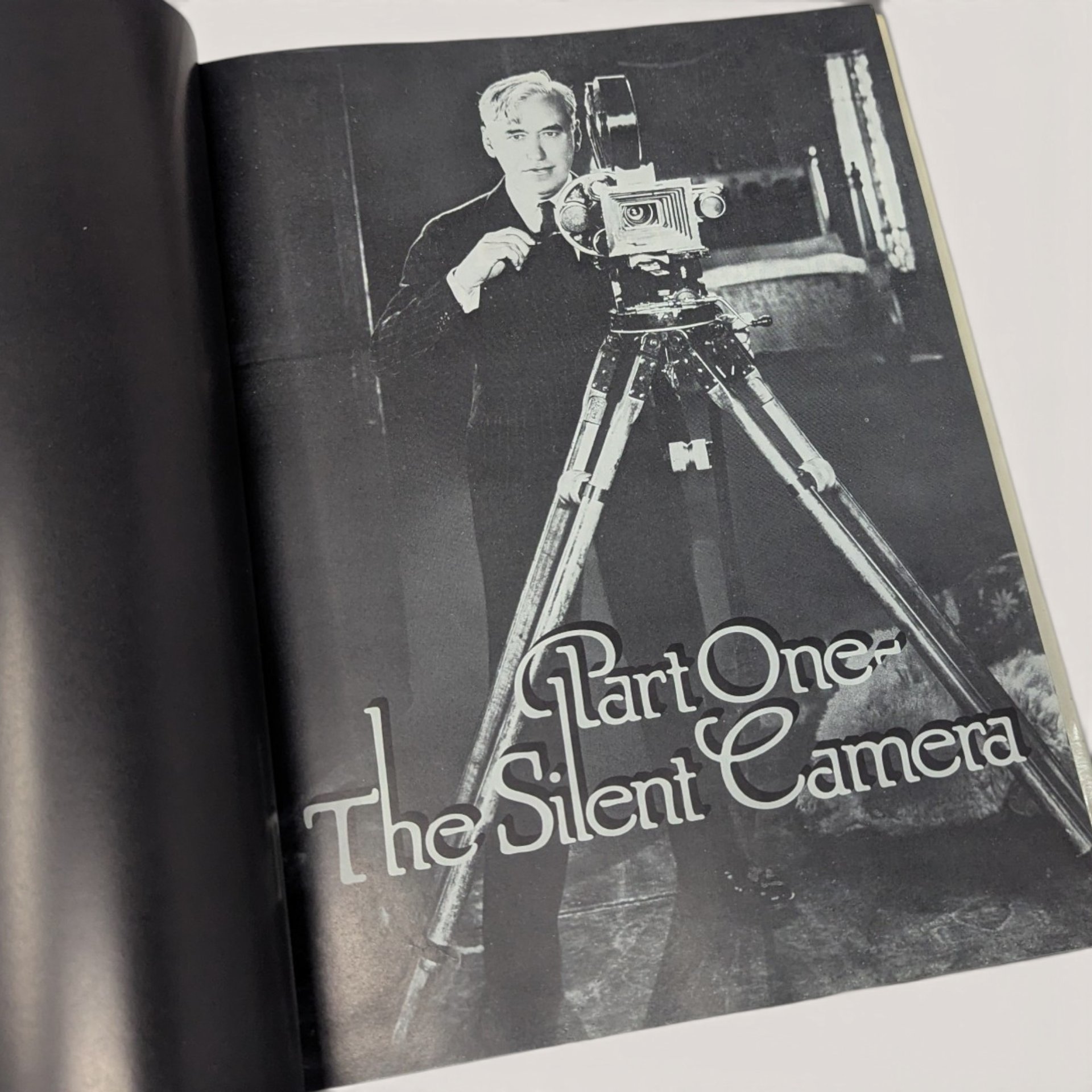 1975 The Silent Clowns by Walter Kerr Hardcover Book