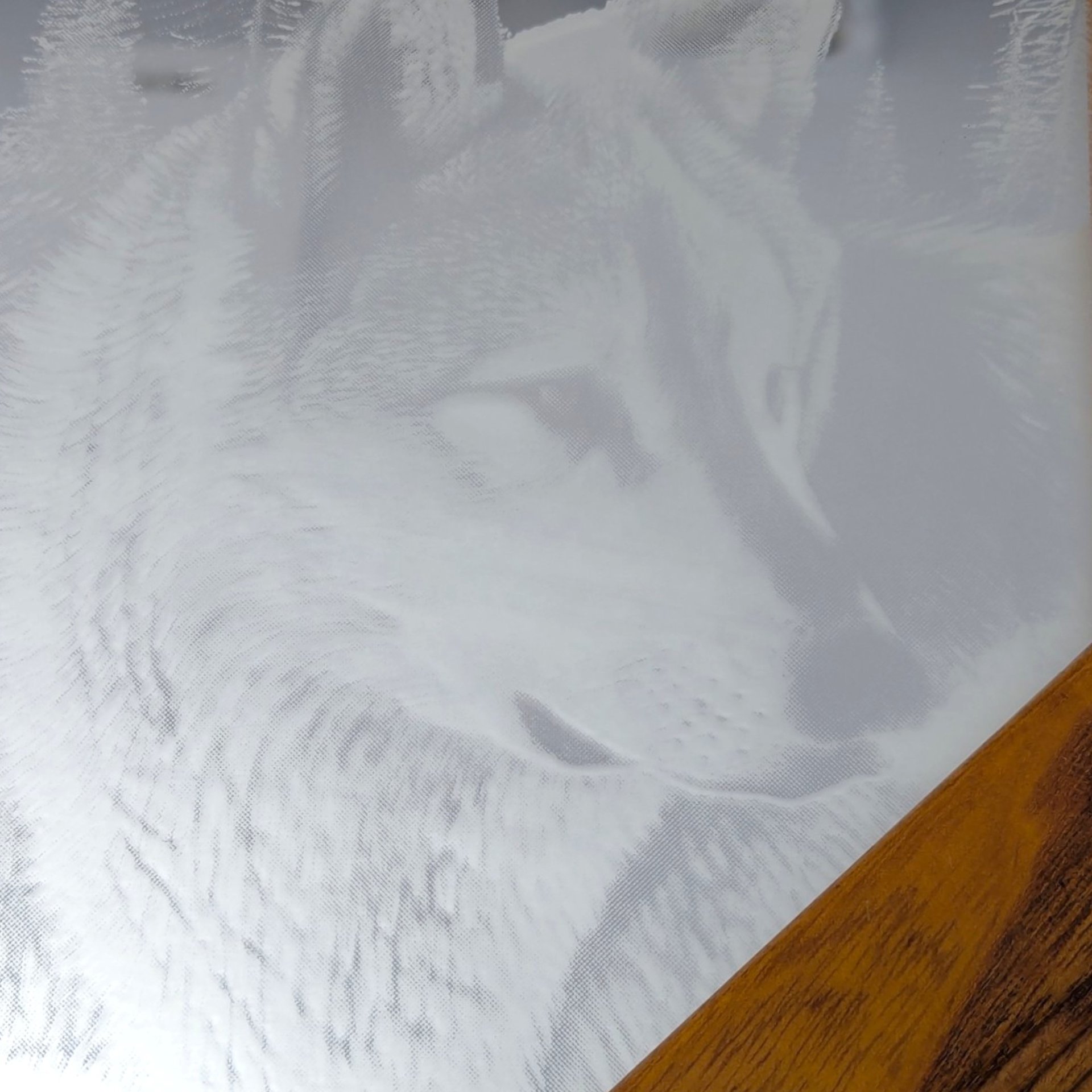 Vintage Octagon Etched Wolf Mirror Wood Frame Wall Hanging