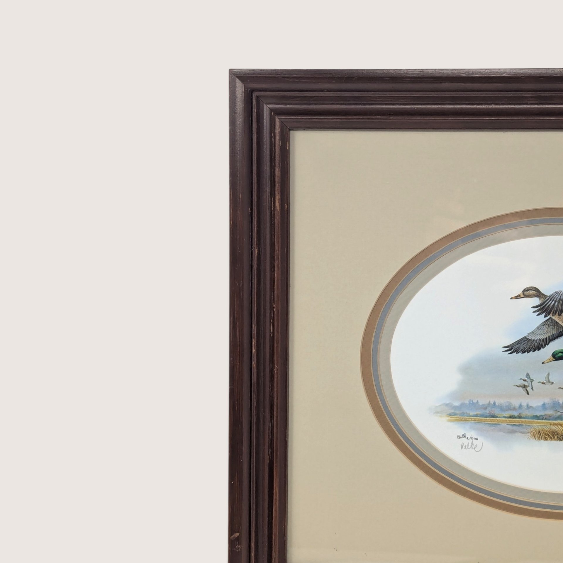 Vintage Framed Don Balke Duck Lithograph Signed Wildlife Art Print 