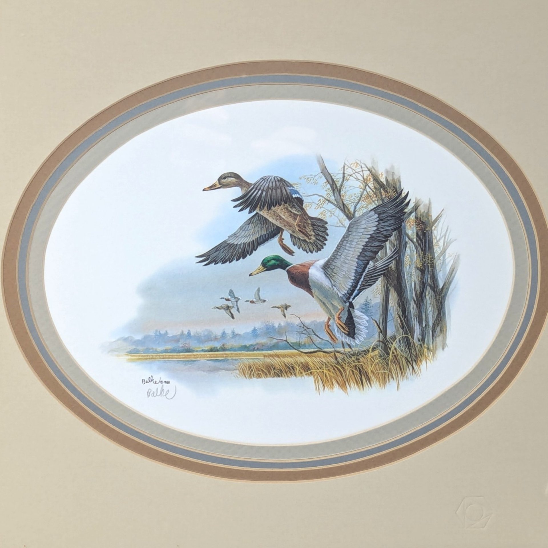 Vintage Framed Don Balke Duck Lithograph Signed Wildlife Art Print 