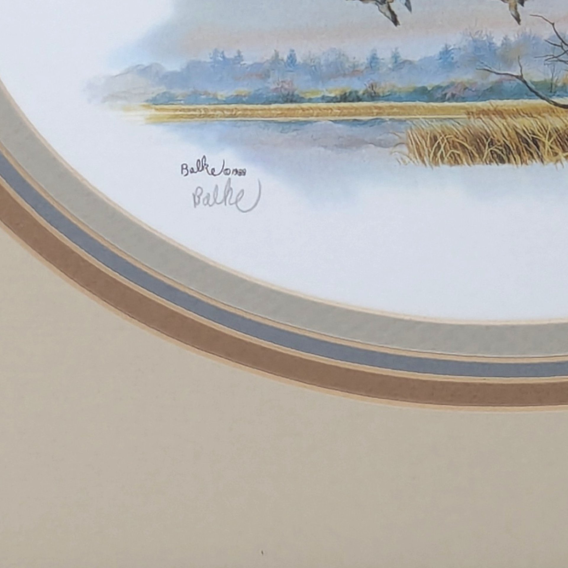 Vintage Framed Don Balke Duck Lithograph Signed Wildlife Art Print 