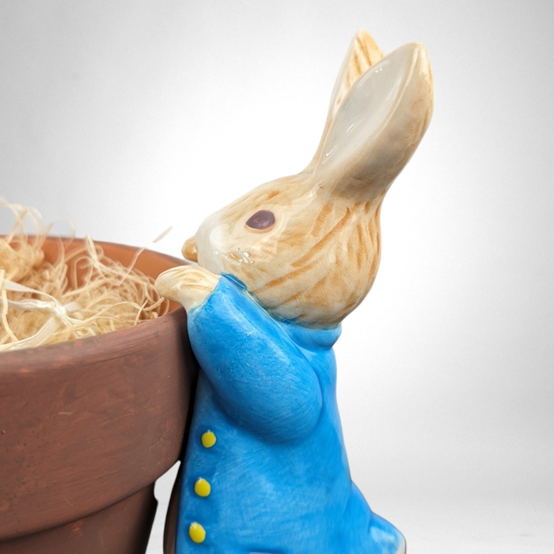 Vintage Teleflora Beatrix Potter Peter Rabbit Planter