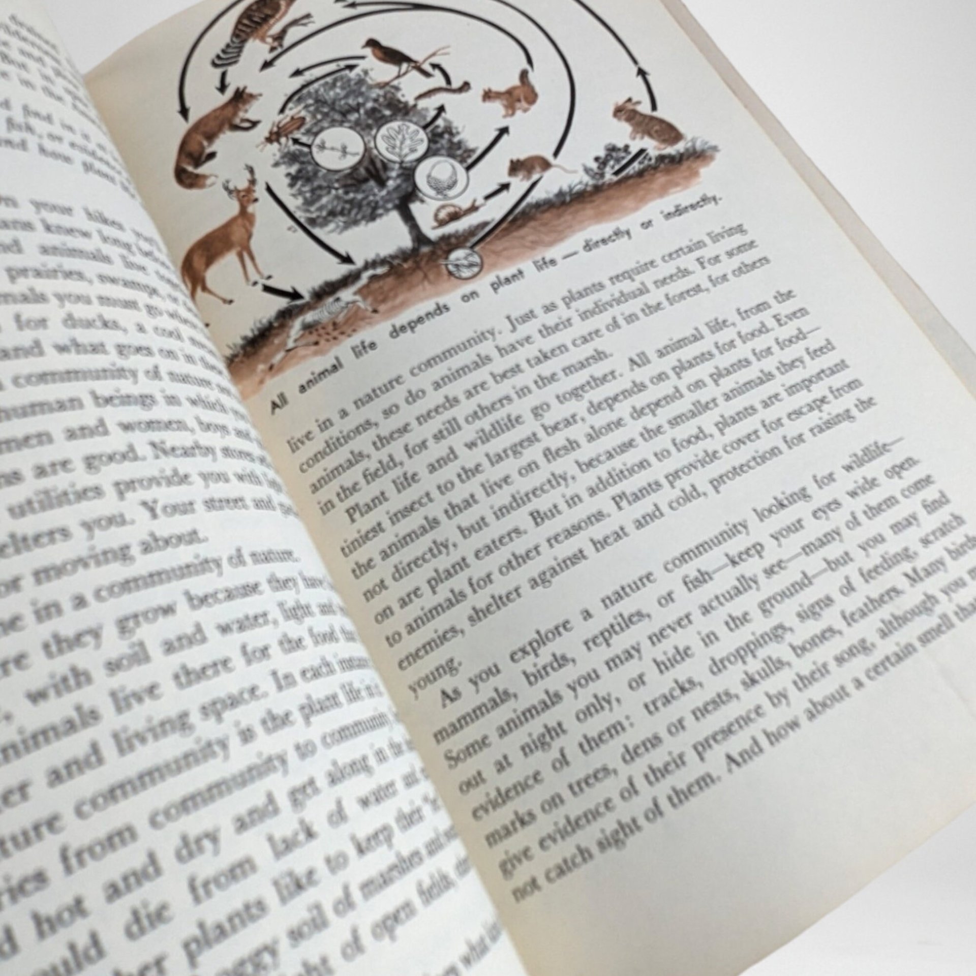 Vintage 1959 Boy Scout Handbook | Norman Rockwell Cover | 6th Edition | Scouting Memorabilia | Gift