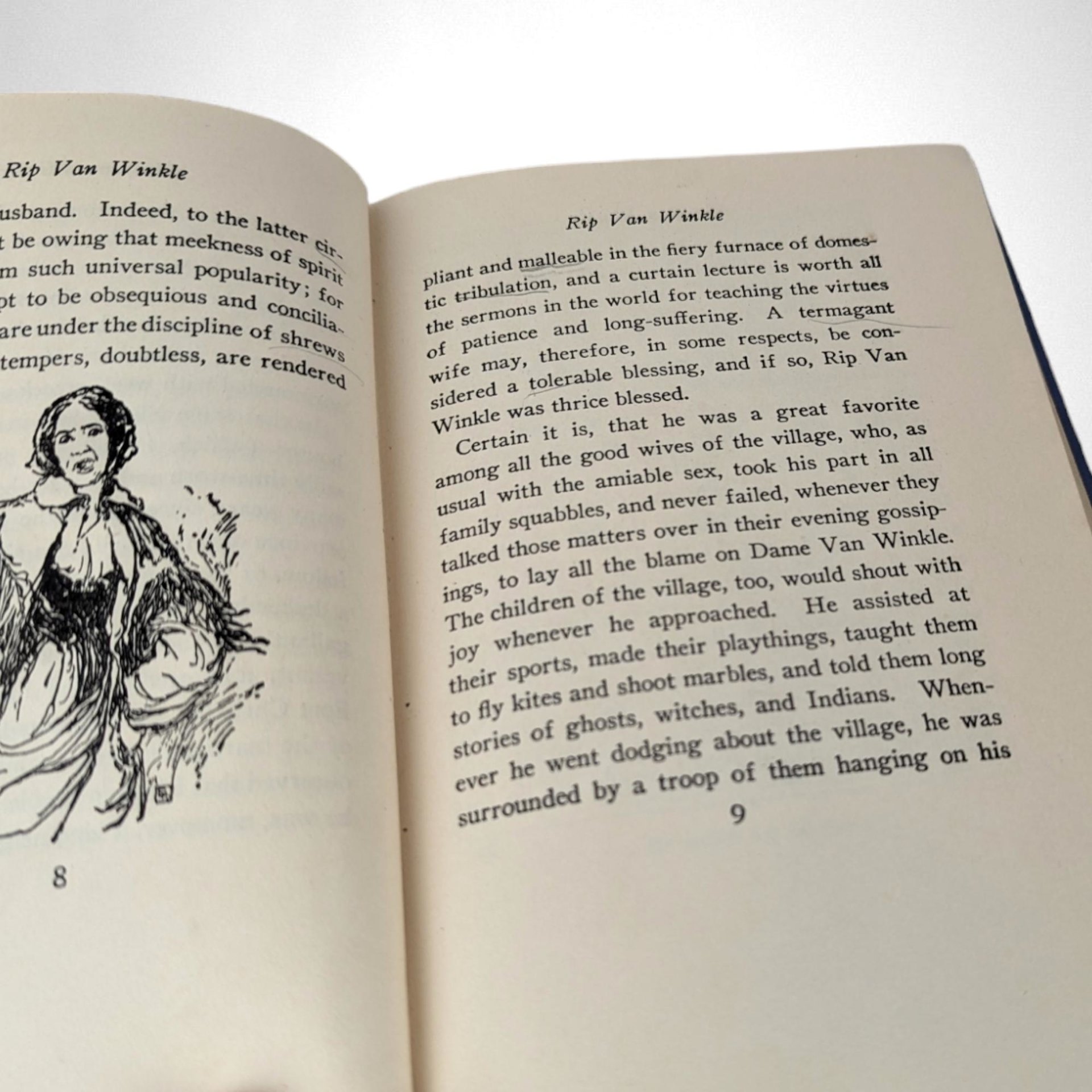 Rip Van Winkle and the Legend of Sleepy Hollow, Washington Irving, Hardcover book