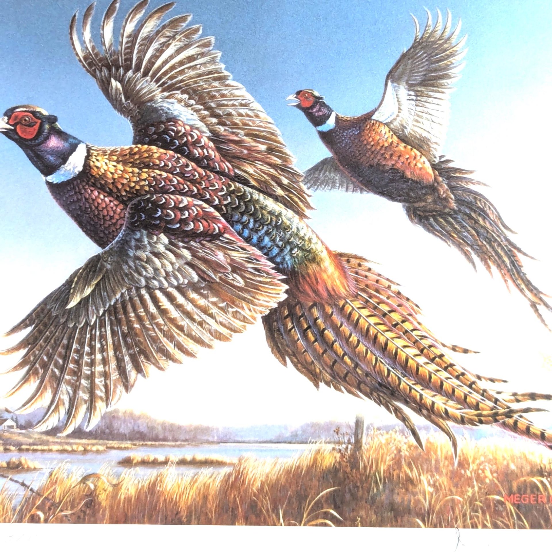 Vintage 1986 Minnesota Pheasant Stamp Print Framed, Signed James A. Meger, Wildlife Art, Hunting Decor, Cabin Decor, Gift for Hunter