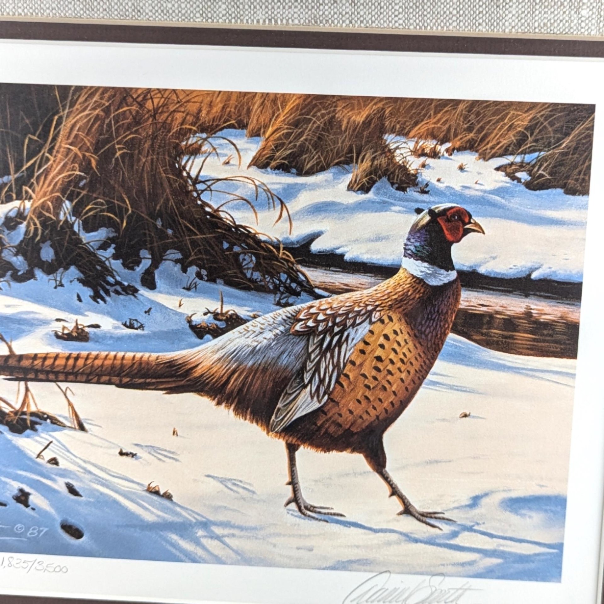 Vintage 1988 Minnesota Pheasant Habitat Stamp Print Framed, Signed Daniel Smith, Wildlife Art, Hunting Decor, Cabin Decor, Gift for Hunter