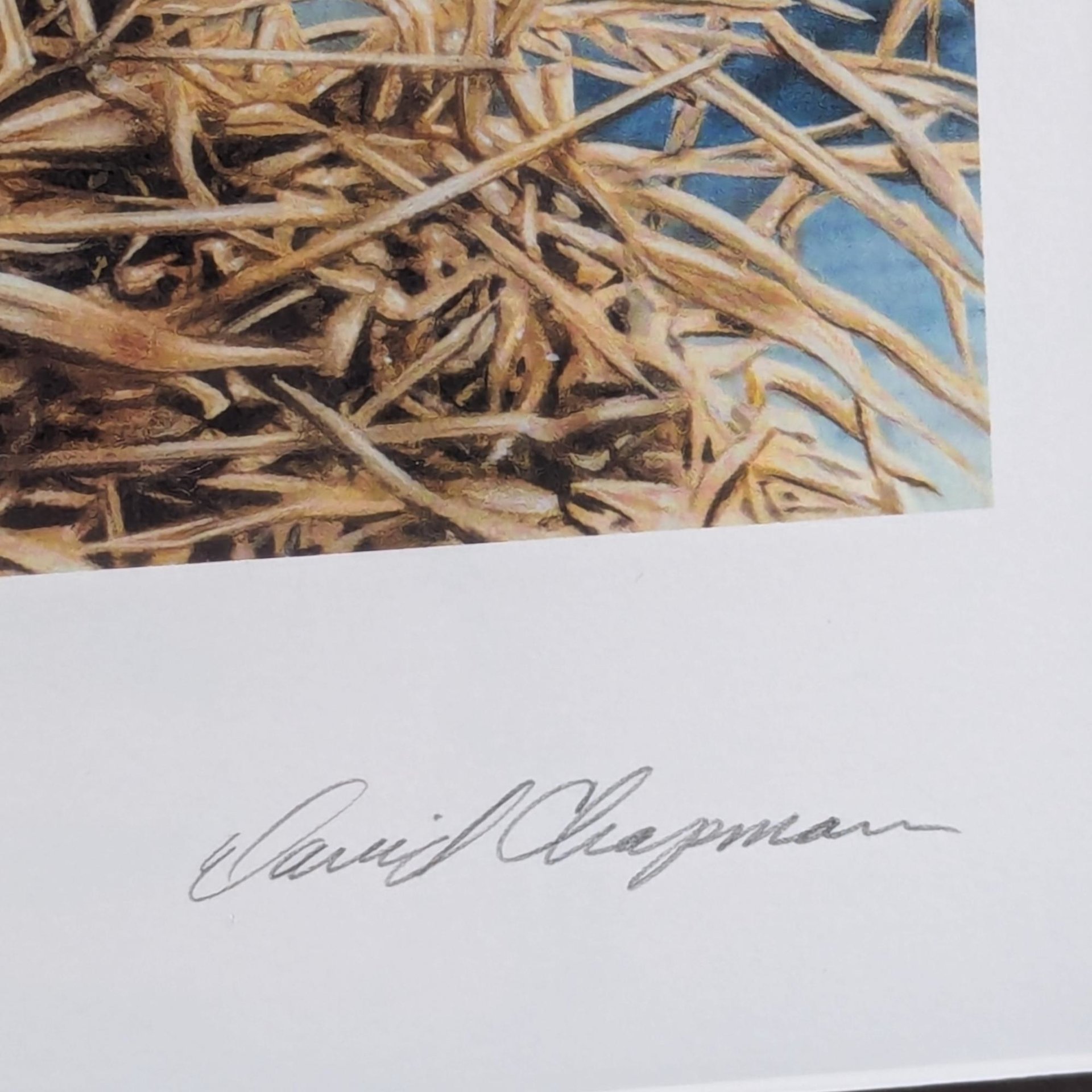 Vintage 1992 Minnesota Pheasant Habitat Stamp Print 10th Anniversary, Framed, Signed David Chapman, Wildlife Art, Hunting Decor