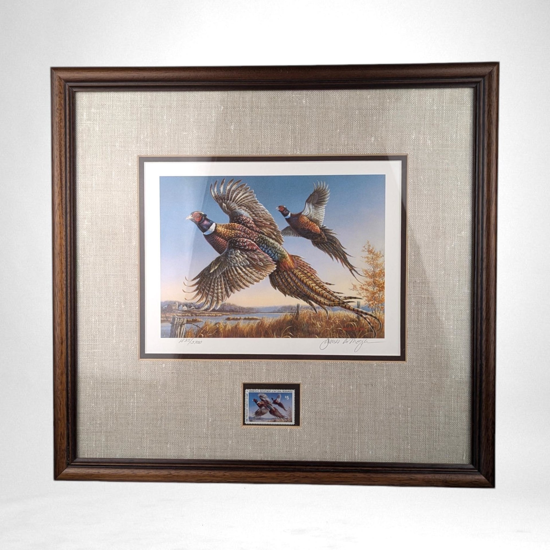 Vintage 1986 Minnesota Pheasant Stamp Print Framed, Signed James A. Meger, Wildlife Art, Hunting Decor, Cabin Decor, Gift for Hunter