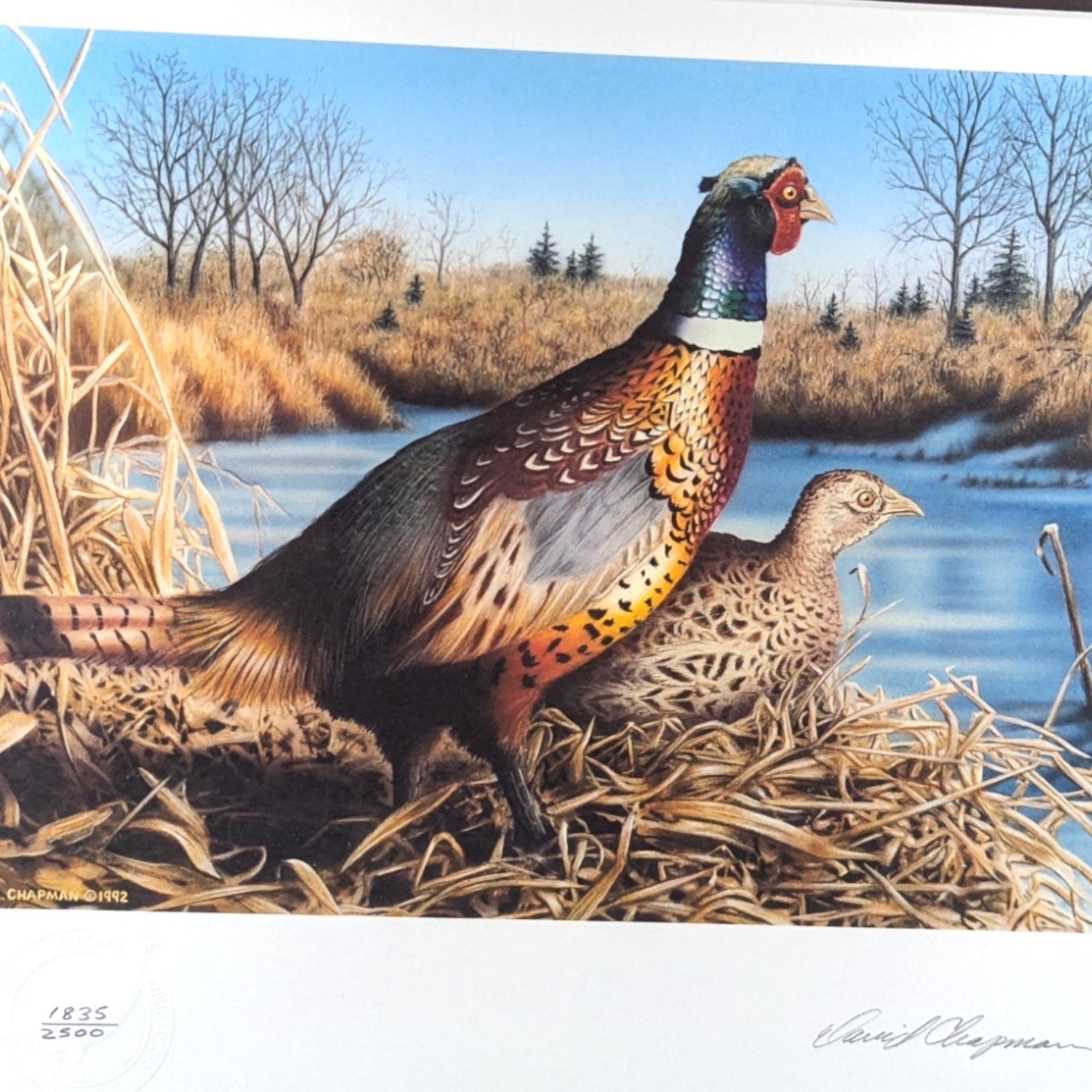 Vintage 1992 Minnesota Pheasant Habitat Stamp Print 10th Anniversary, Framed, Signed David Chapman, Wildlife Art, Hunting Decor