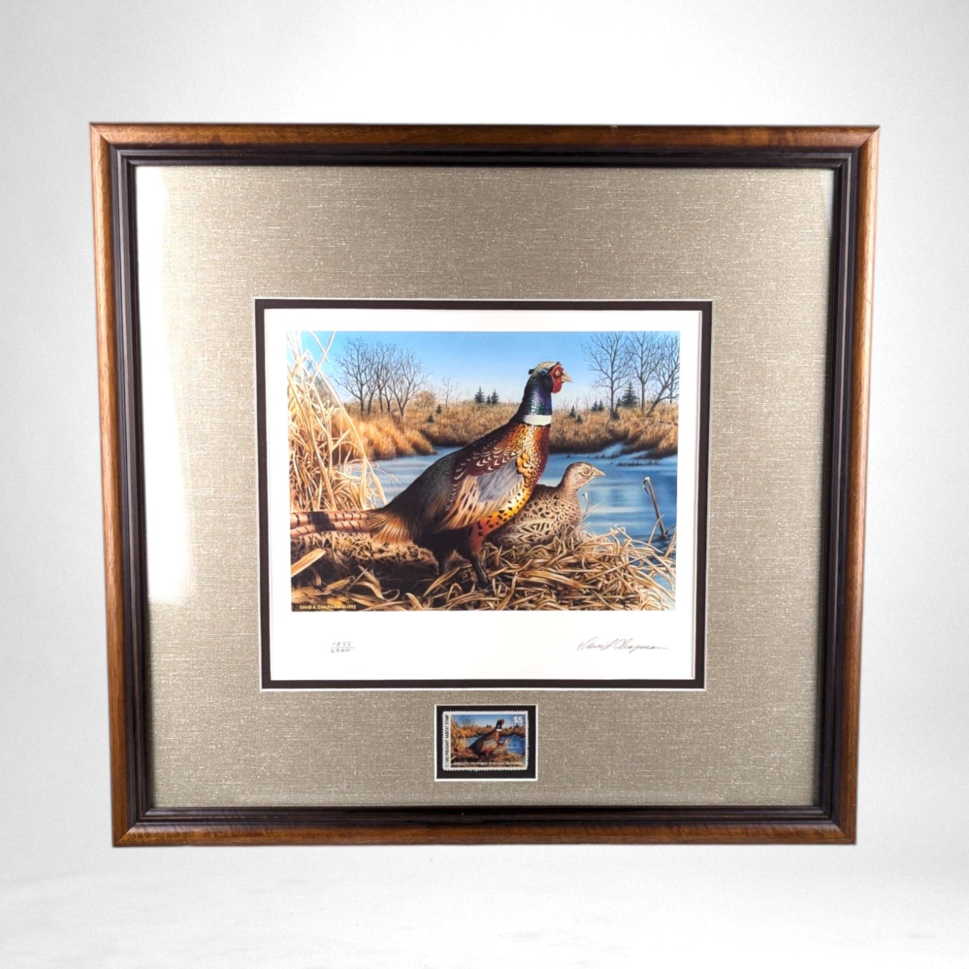 Vintage 1992 Minnesota Pheasant Habitat Stamp Print 10th Anniversary, Framed, Signed David Chapman, Wildlife Art, Hunting Decor