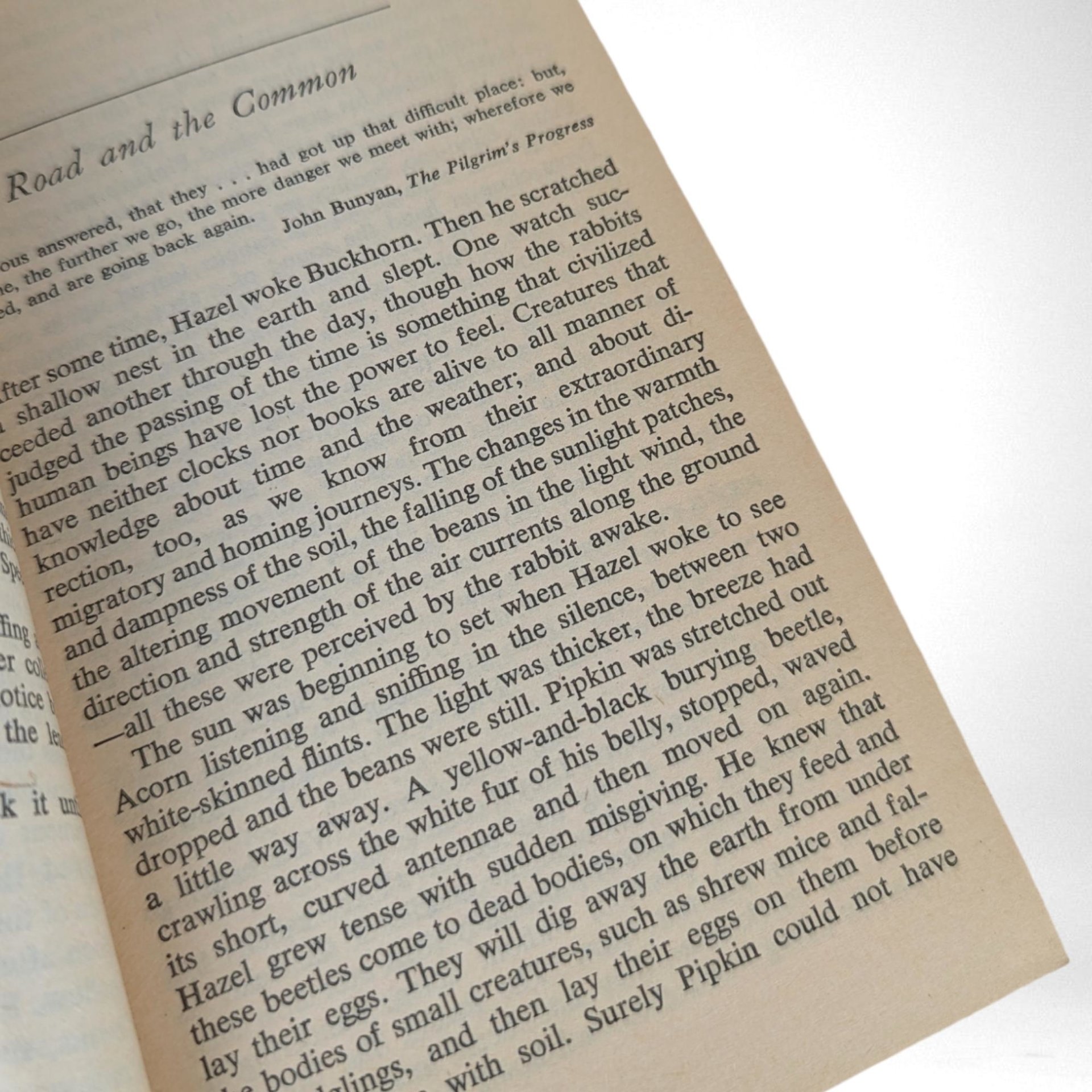 Vintage Watership Down by Richard Adams | Classic Fantasy Novel | Paperback | Gift Idea
