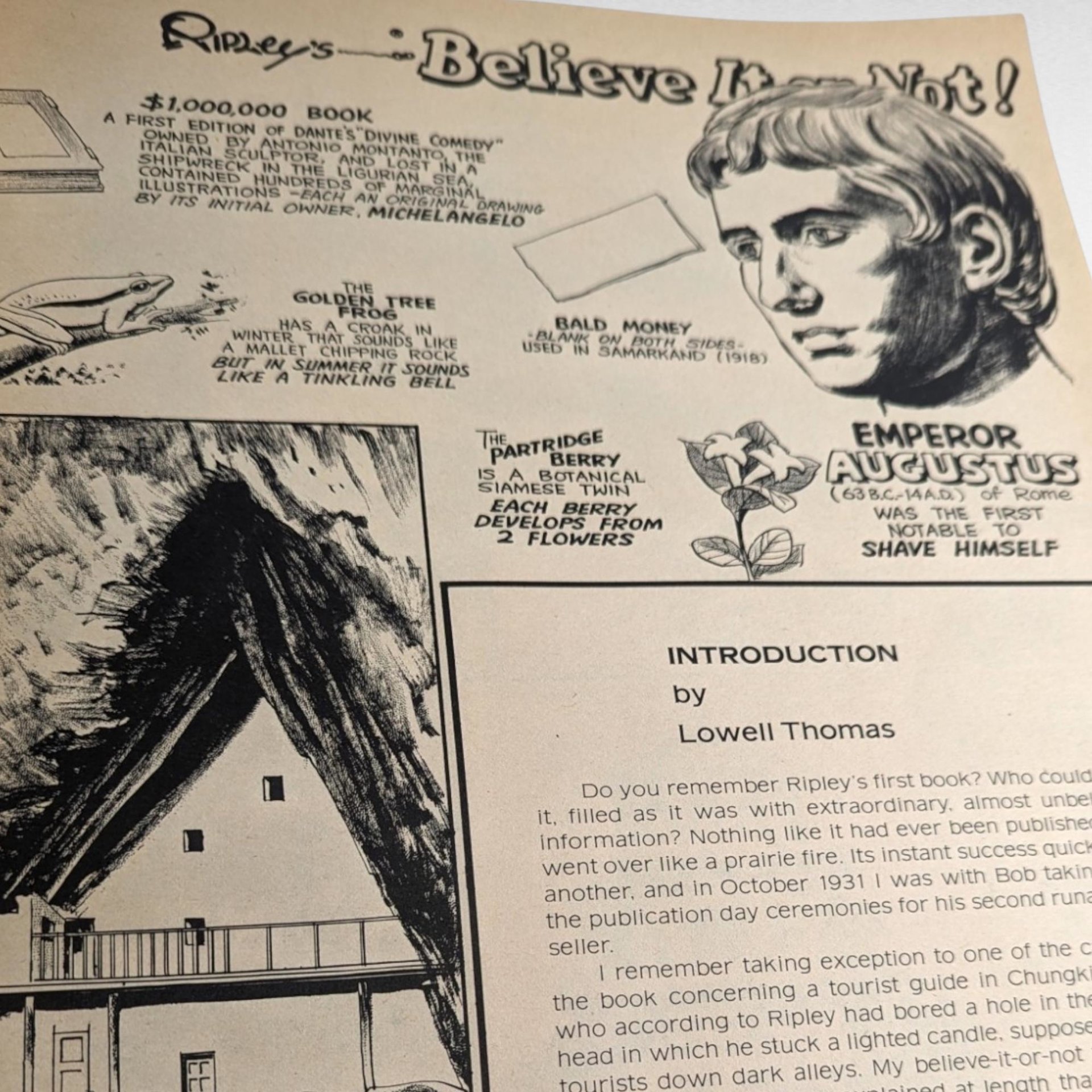 Vintage 1976 Ripley's Believe It Or Not! Giant Softcover Book | Illustrated | Oddities & Wonders | Lowell Thomas Introduction