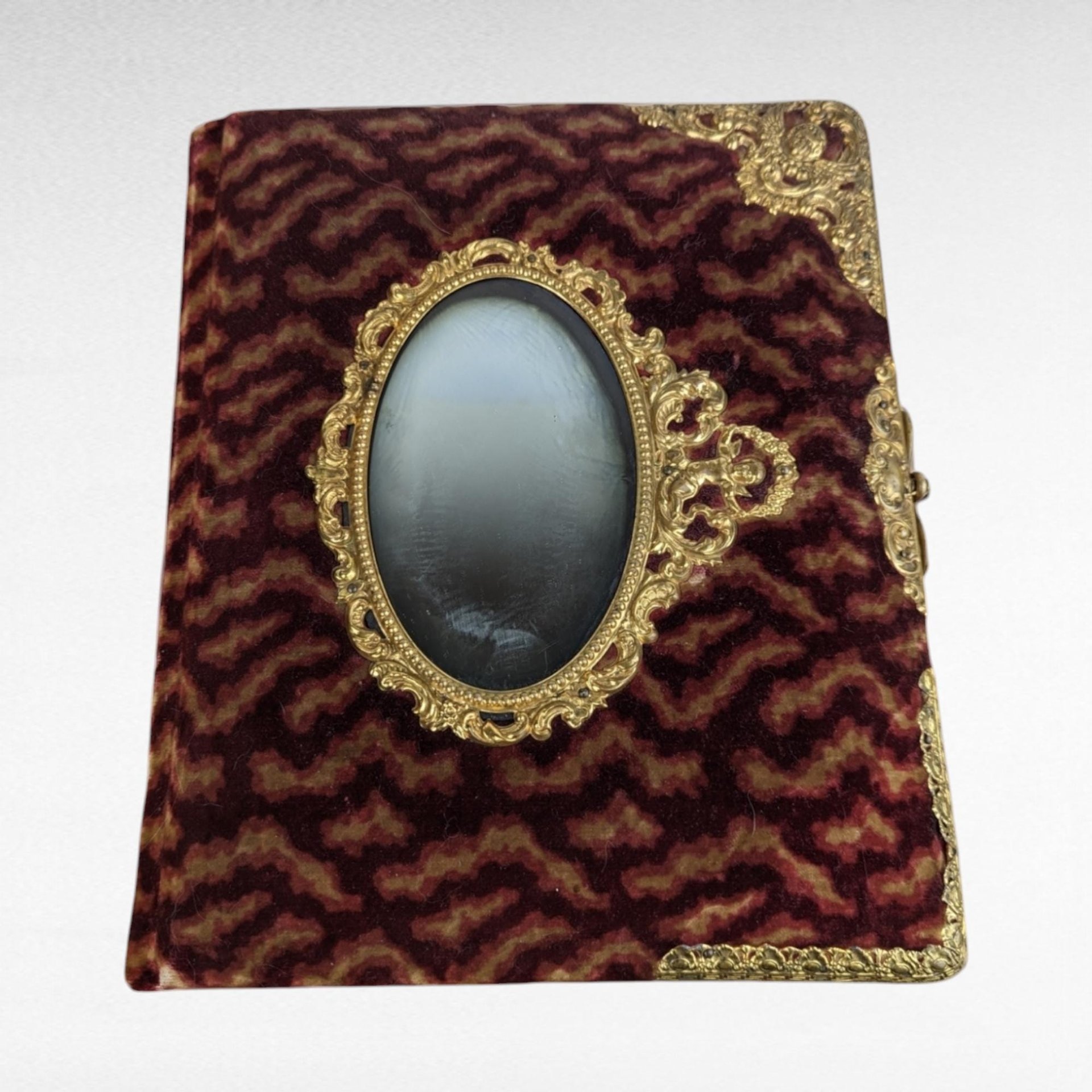 Antique Velvet Photo Album | Victorian Photo Album | Ornate Photo Album | Antique Photos Included