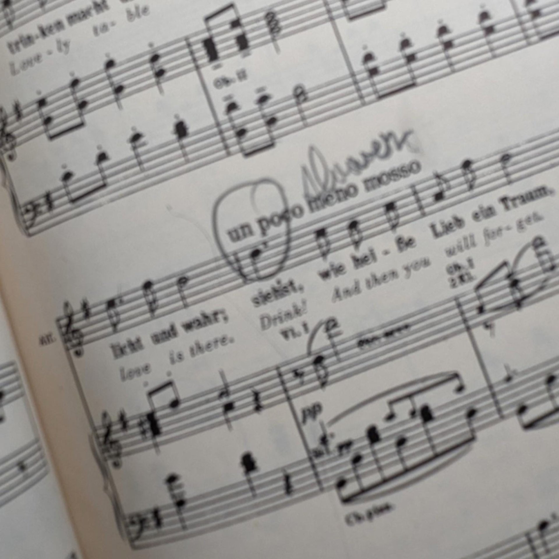 1951 "Fledermaus" Vocal Score - Metropolitan Opera Version - Johann Strauss - Howard Dietz Lyrics