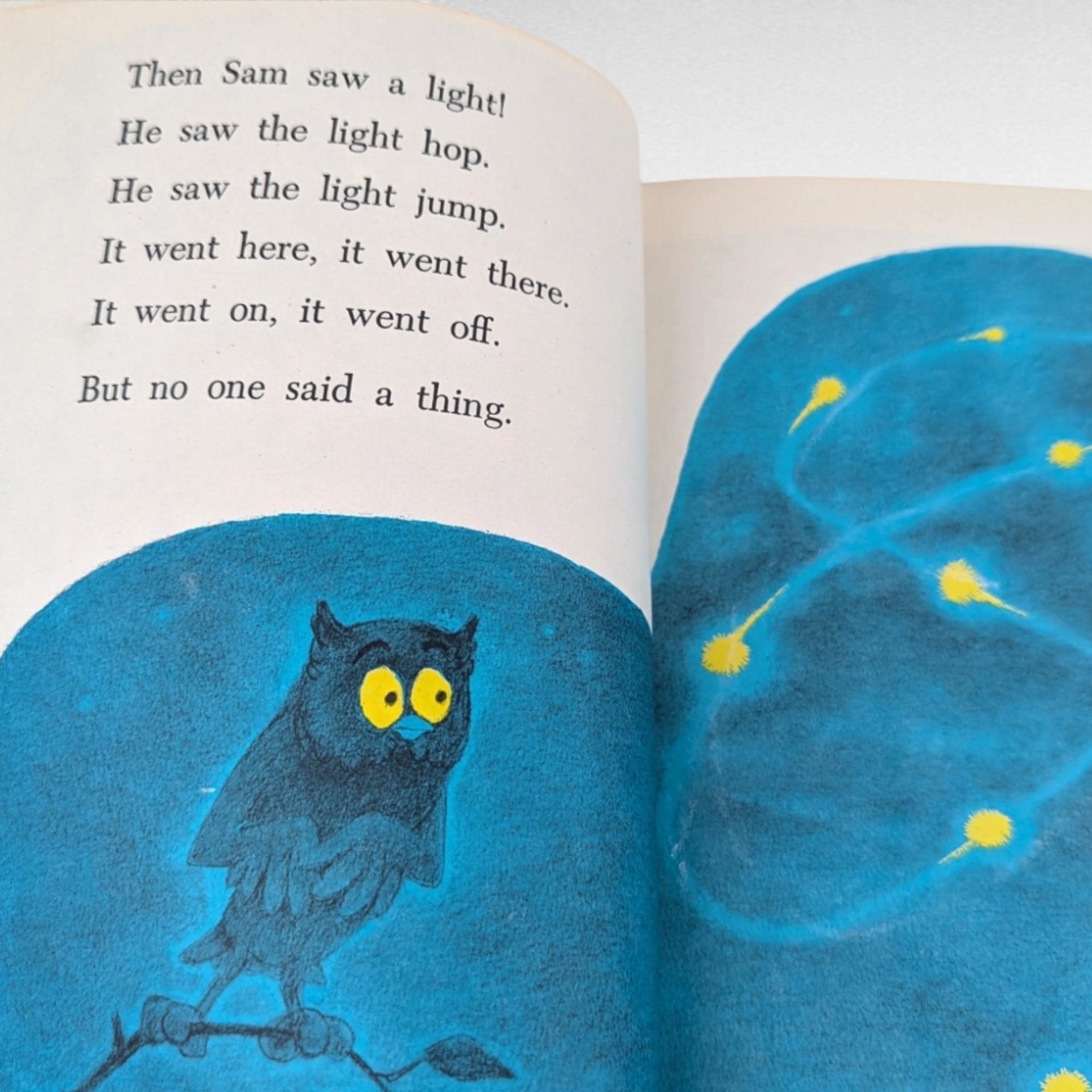 1958 Sam and the Firefly | P.D. Eastman | Vintage Children's Book | Beginner Books | Early Reader