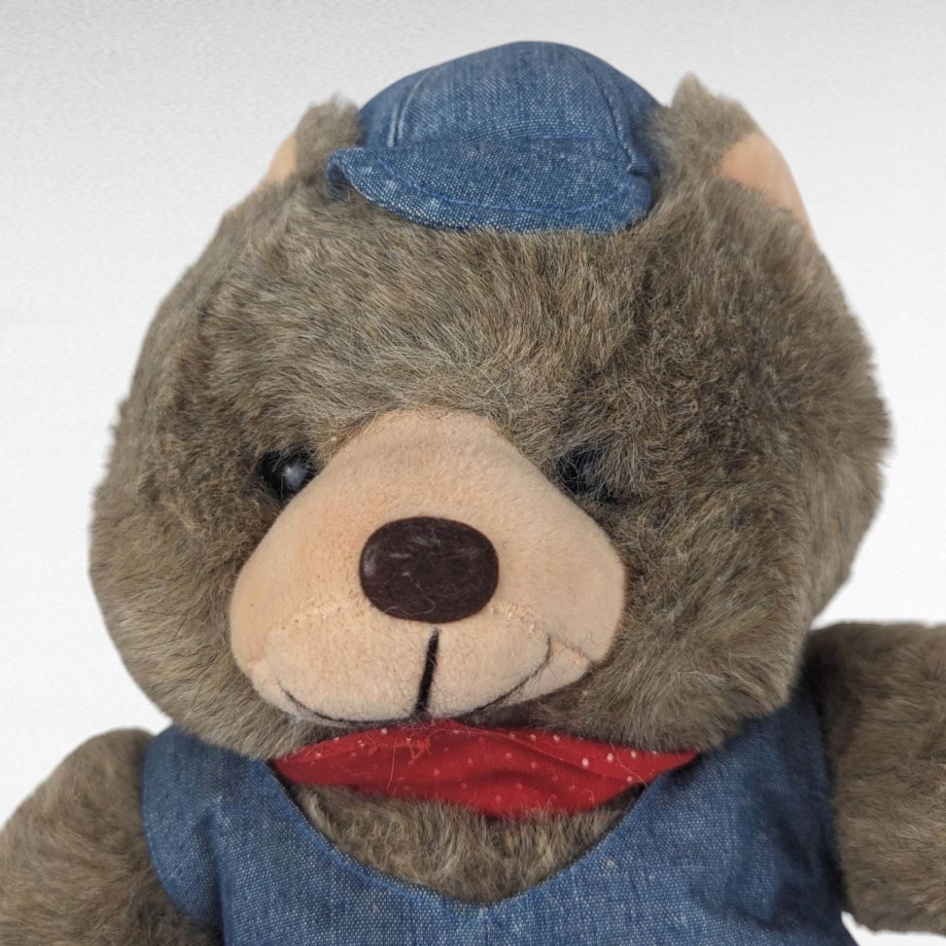 Vintage Teddy Bear Pair, America Wego Denim Bear, 1985 Dakin Del Monte Bear, Collectible Plush Toys, Gift for Kids