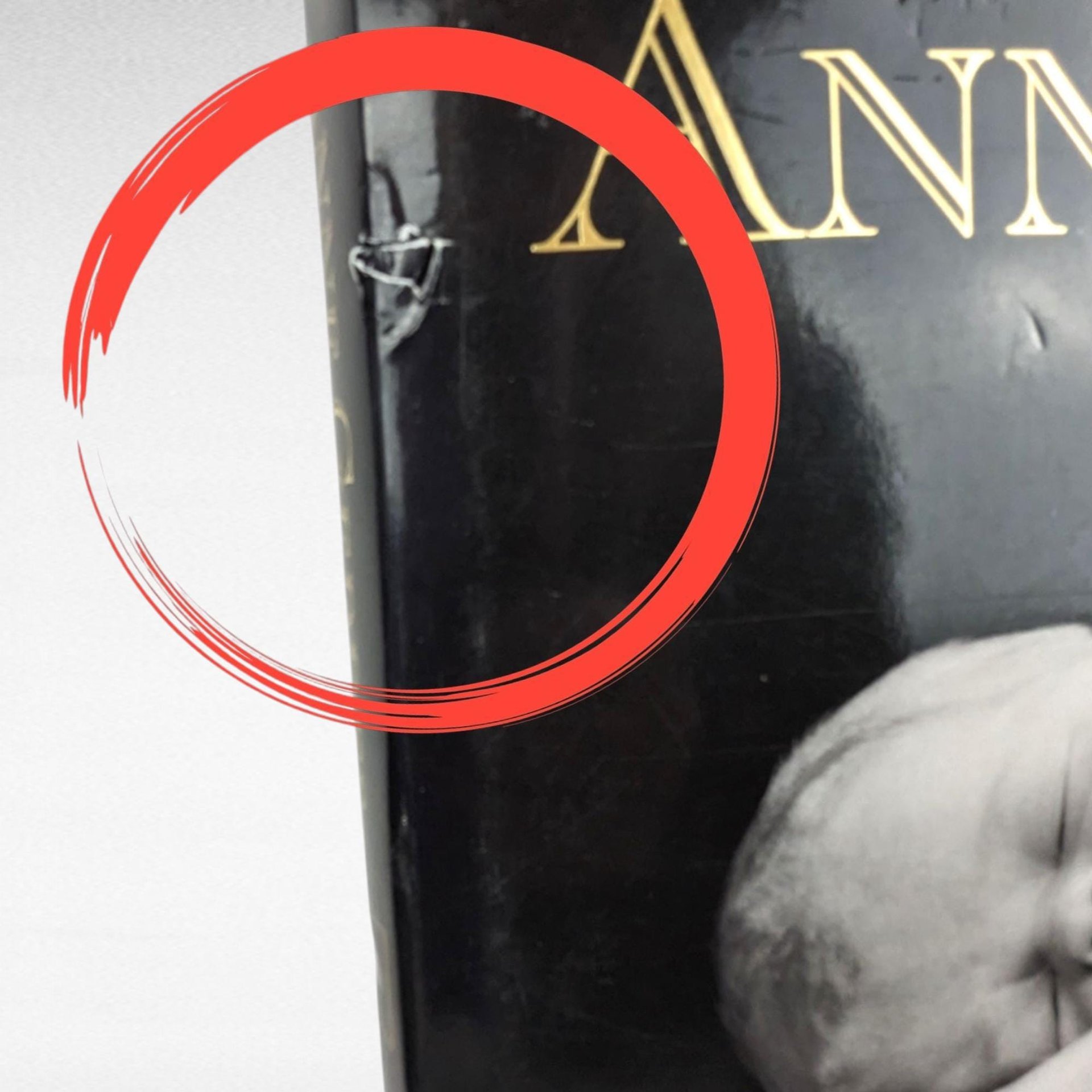 Anne Geddes Book Pair, Down in the Garden, Until Now, Photography Books, Coffee Table Books, Gift for Photography Lover, Collectible Books