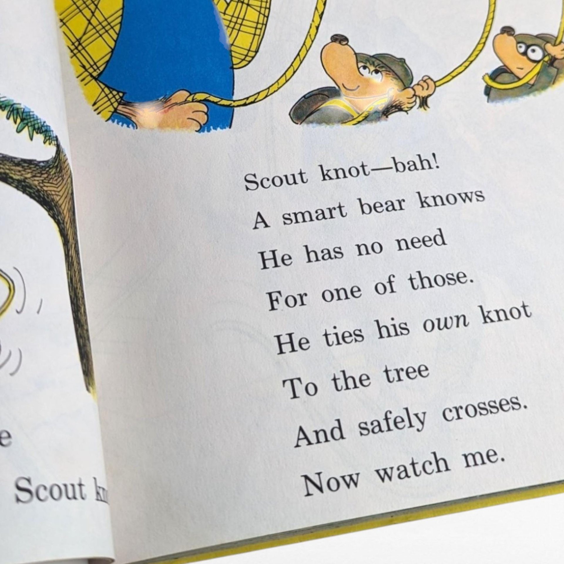 Vintage Berenstain Bears Books and Picture Frame Lot - 1960s Children's Literature - Bear Scouts, Vacation - Collectible Berenstain Bears