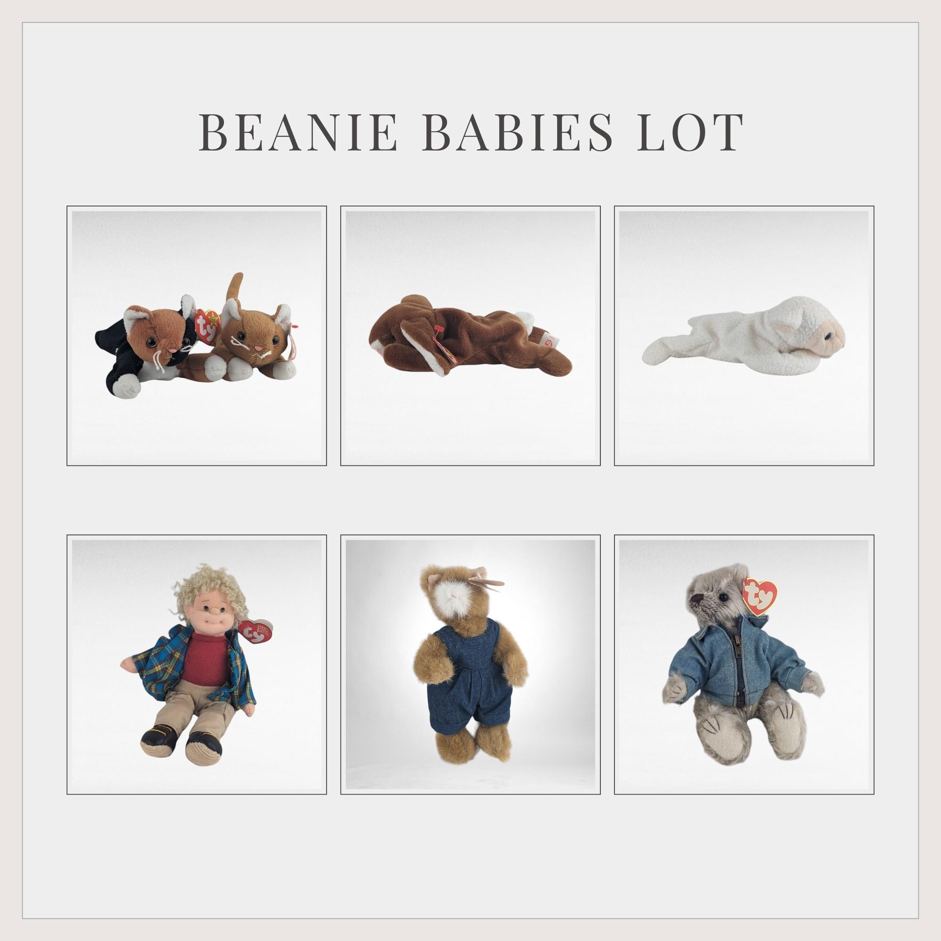 Vintage Ty Beanie Baby Lot, Collectible Beanie Babies, Pouncer, Nip, Chip, Fleece, Ears, Rugged Rusty, Rhine, Gift for Collector