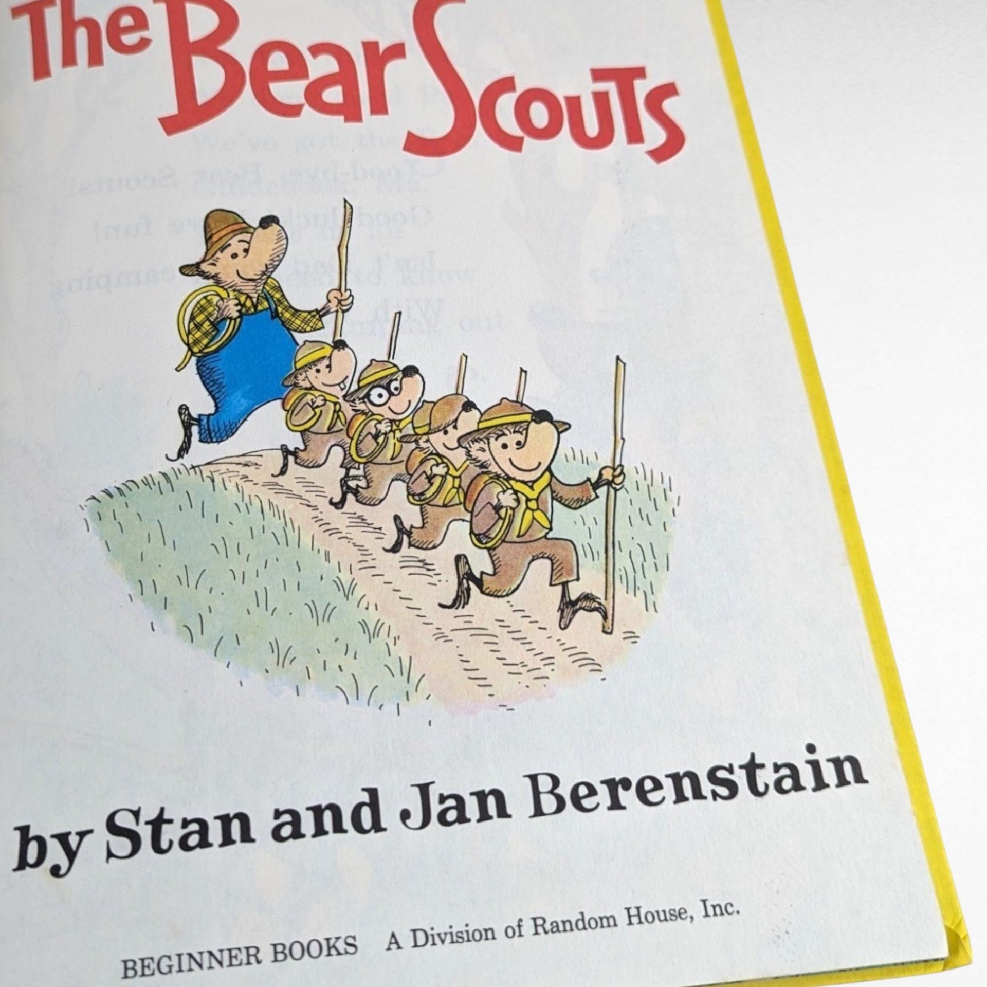 Vintage Berenstain Bears Books and Picture Frame Lot - 1960s Children's Literature - Bear Scouts, Vacation - Collectible Berenstain Bears